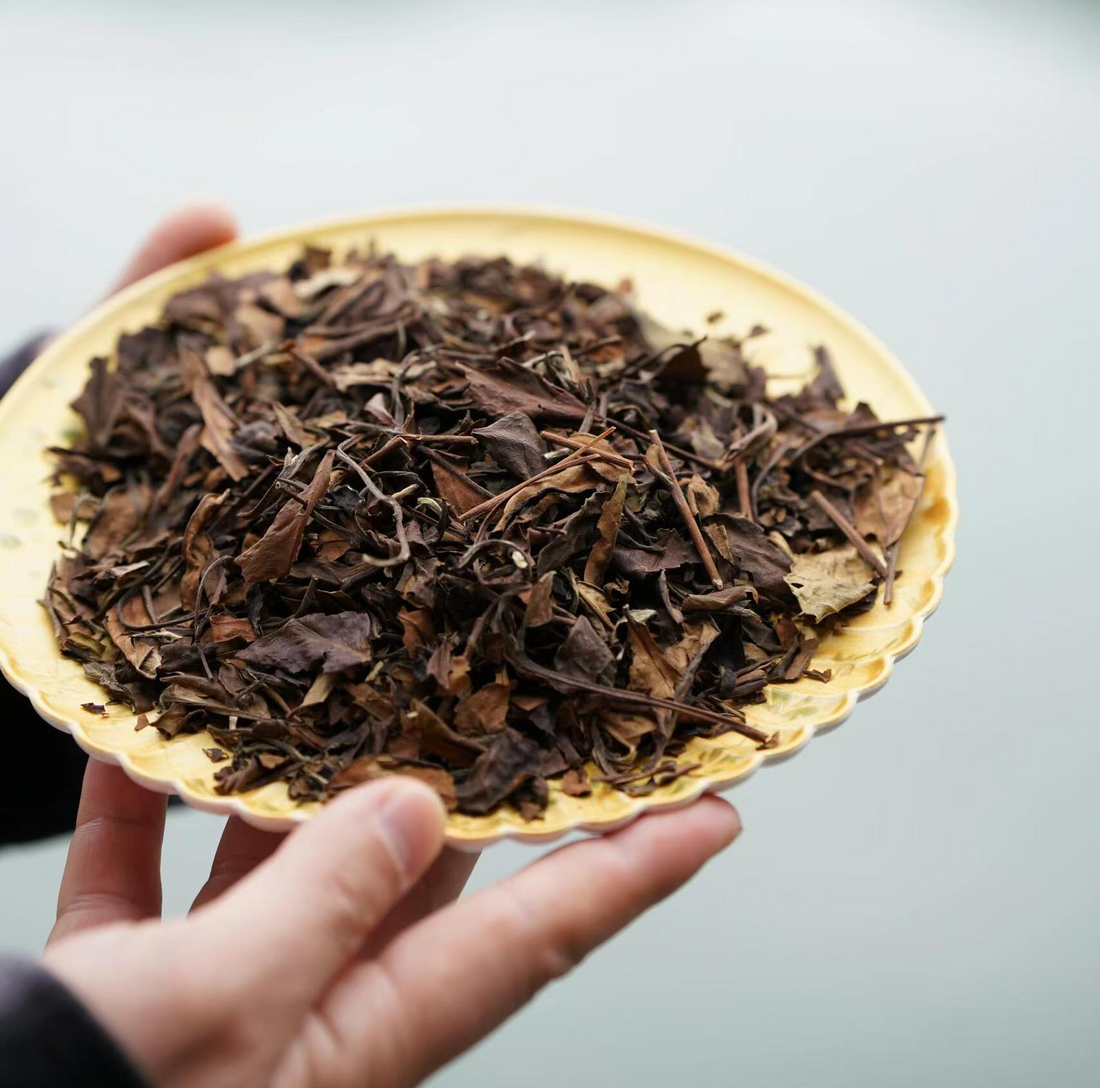 Does White Tea Have Caffeine?