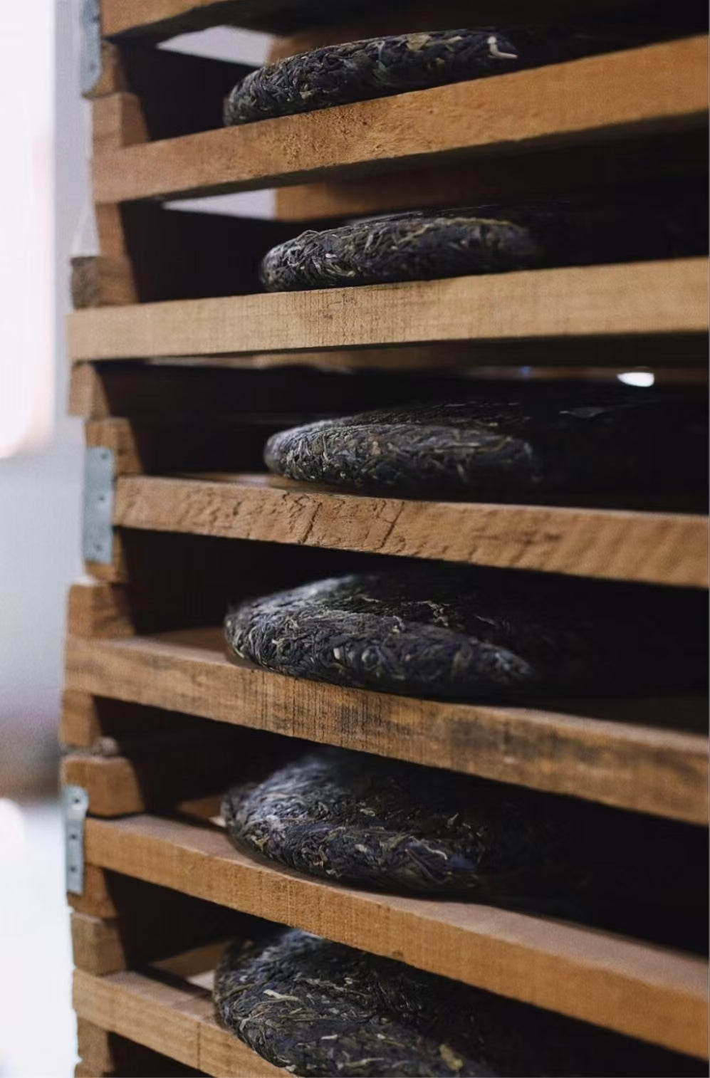 this is Chinese Yunnan pu-erh tea sheng puer tea shou puer tea