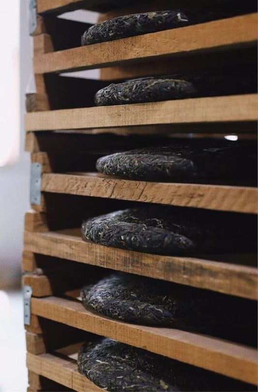 this is Chinese Yunnan pu-erh tea sheng puer tea shou puer tea