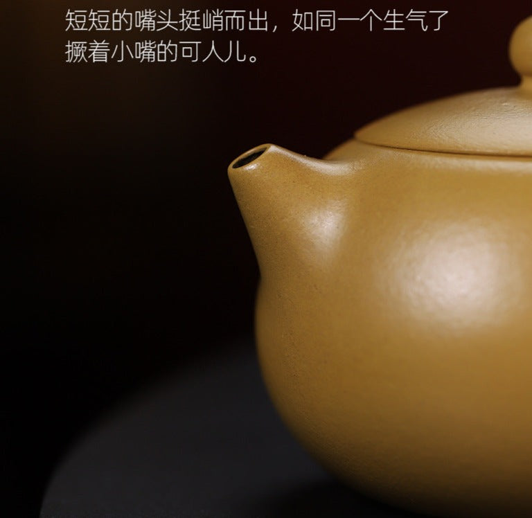 This is a Yixing teapot. this is Chinese yixing clay teapot