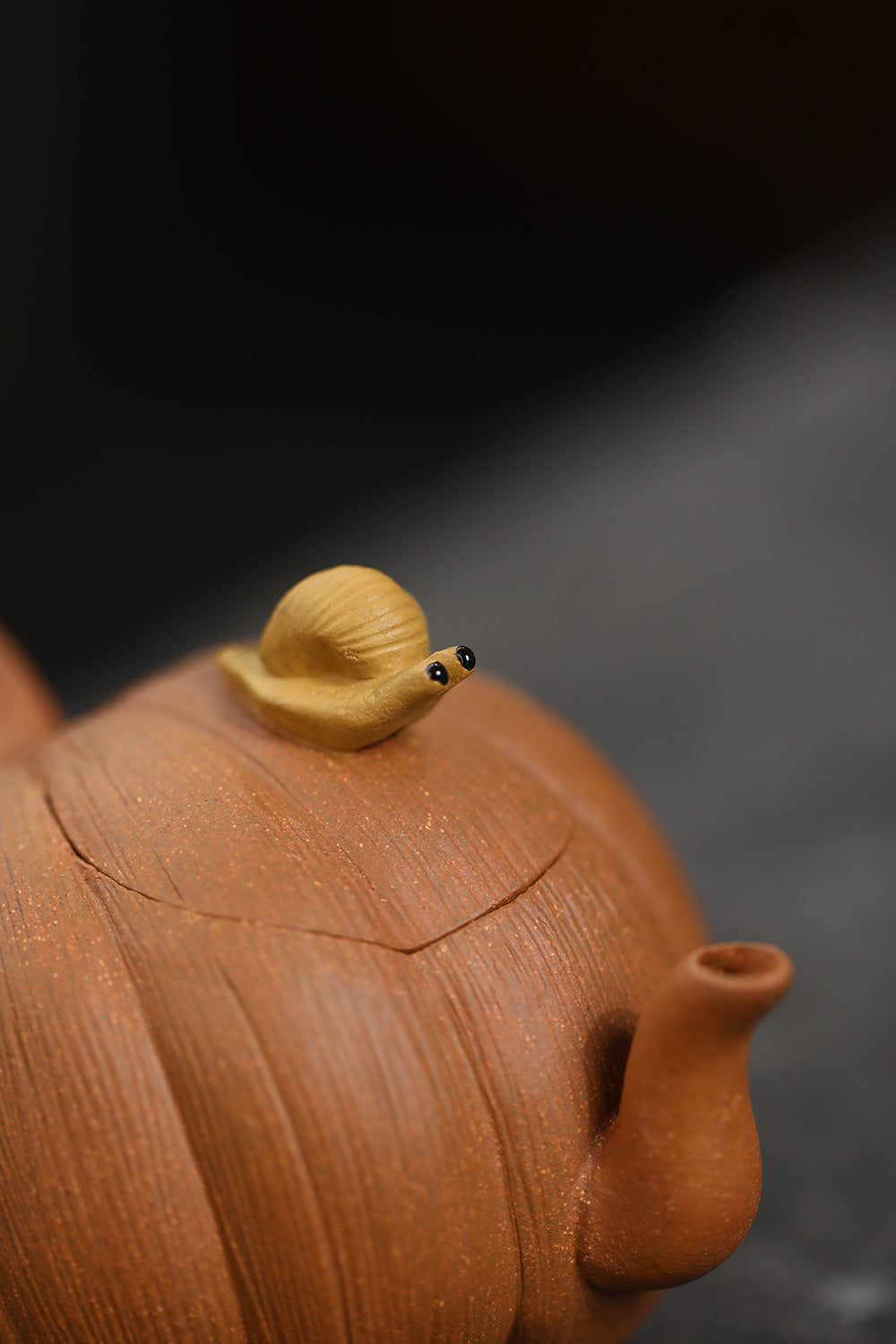 This is a Yixing teapot. this is Chinese yixing clay teapot