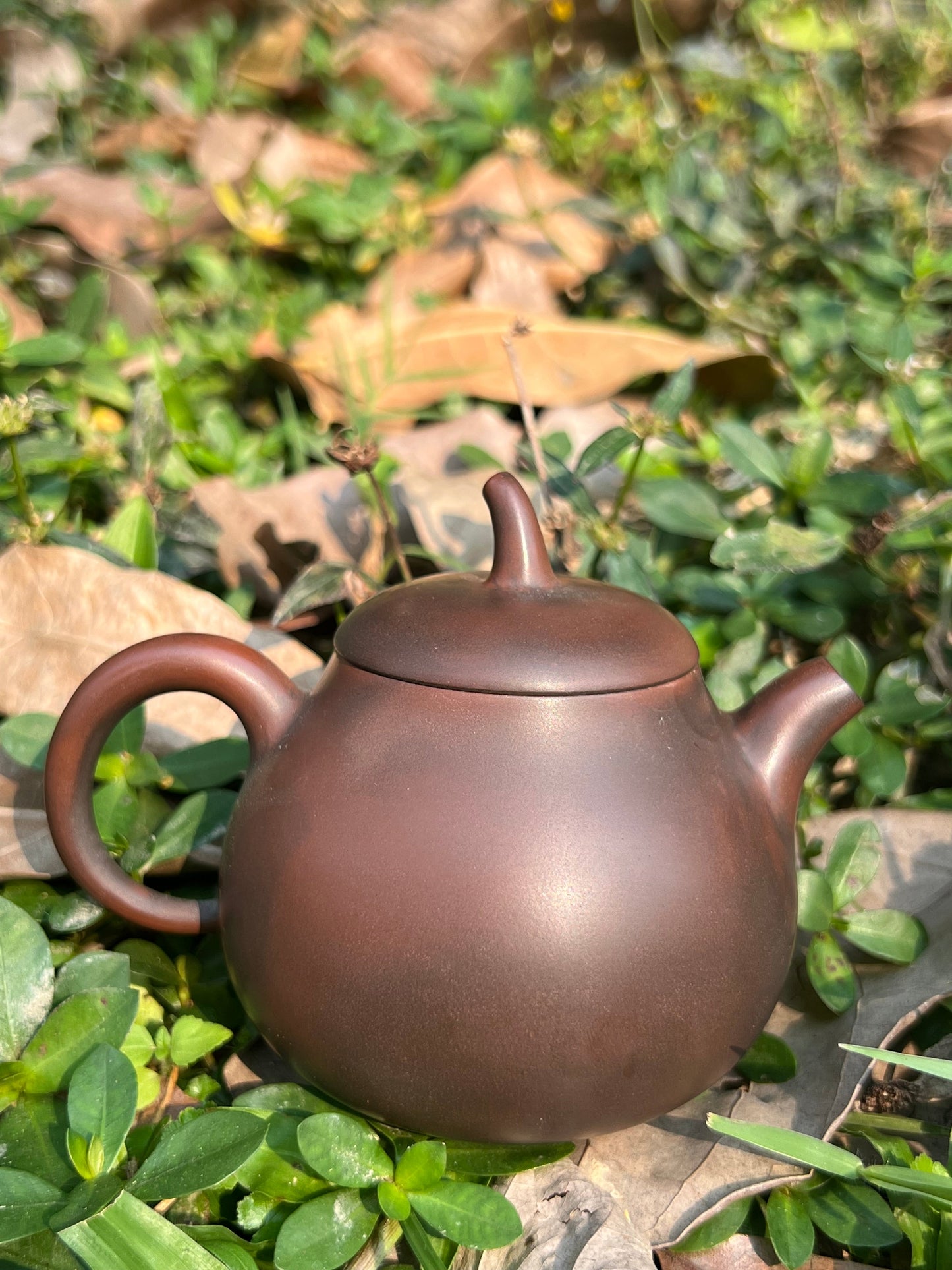 Handcrafted Original Design Chinese Nixing Pottery Teapot Artwork Black Teapot Kungfu Teapot