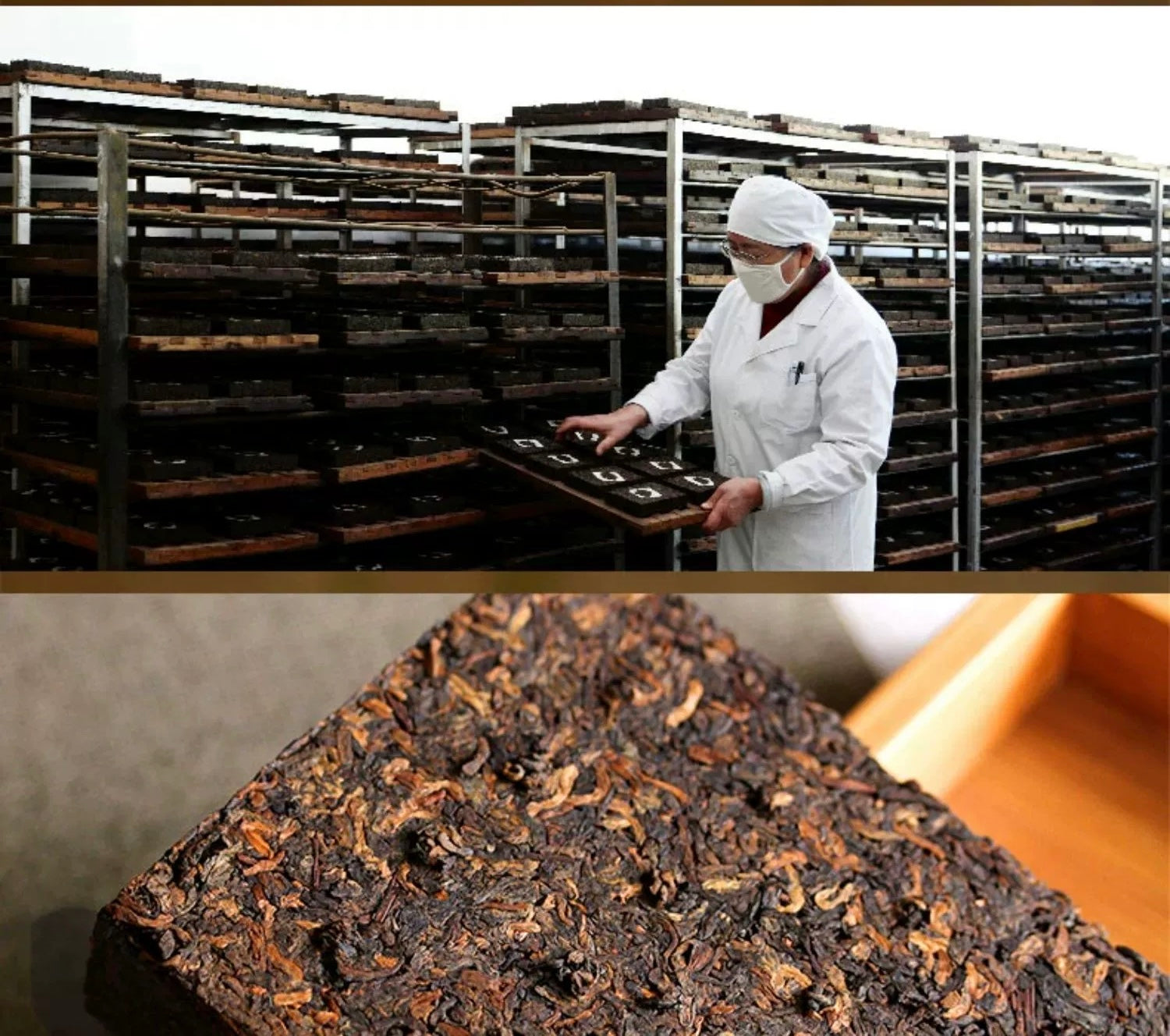 this is Chinese Yunnan Gushu ripe puerh Shou Puerh