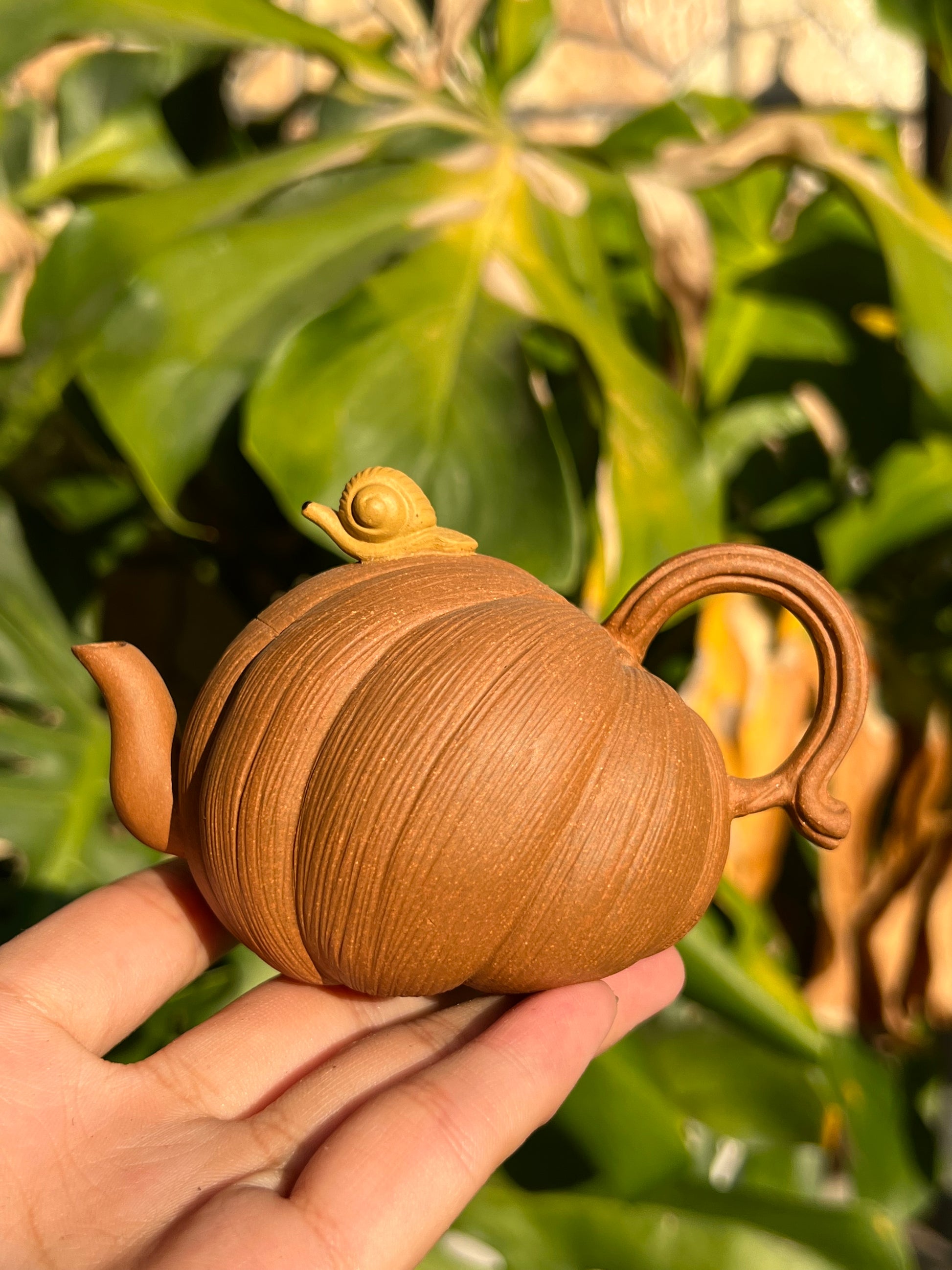 This is a Yixing teapot. this is Chinese yixing clay teapot