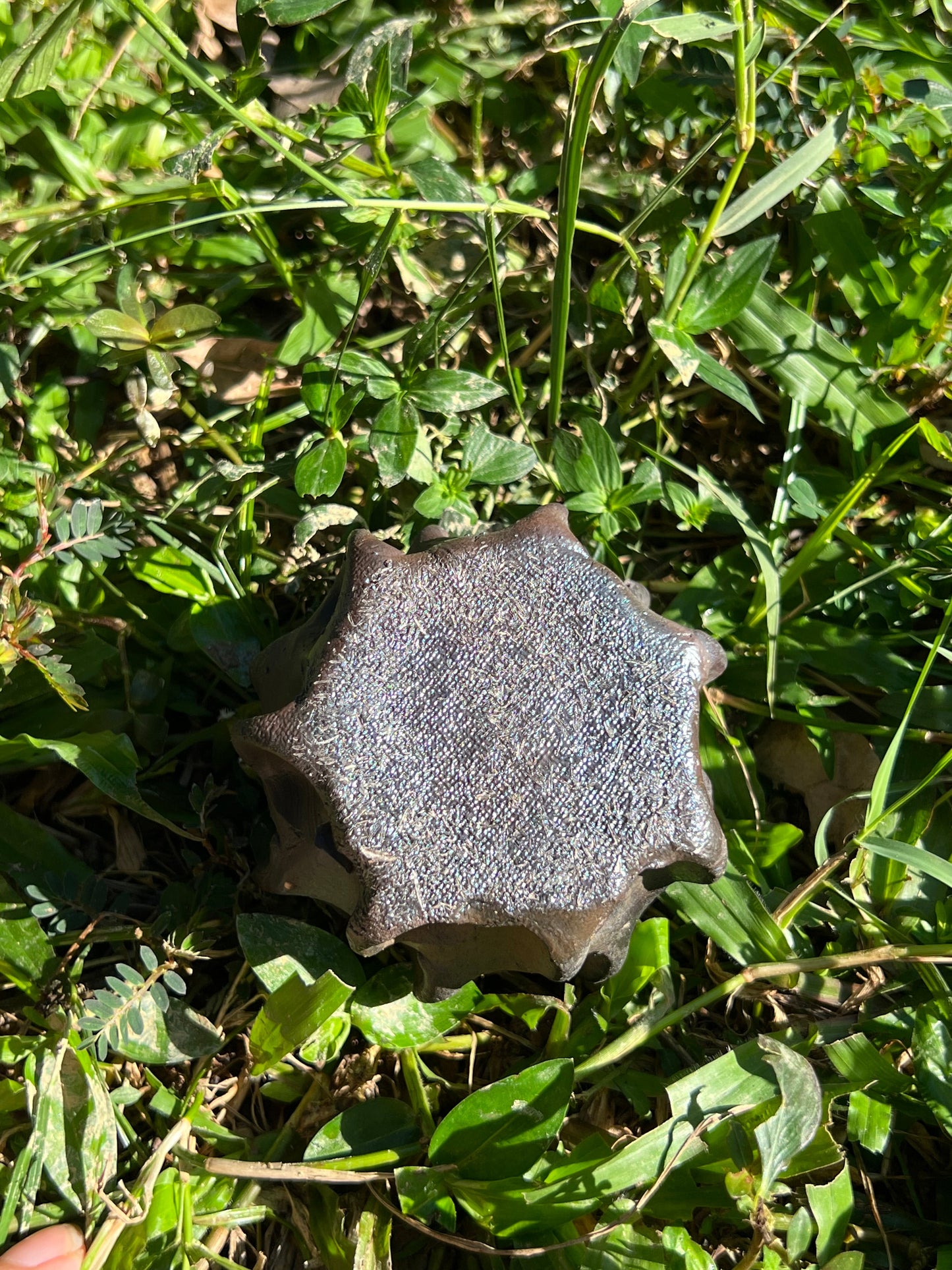 This is a woodfired tietai pottery teacup