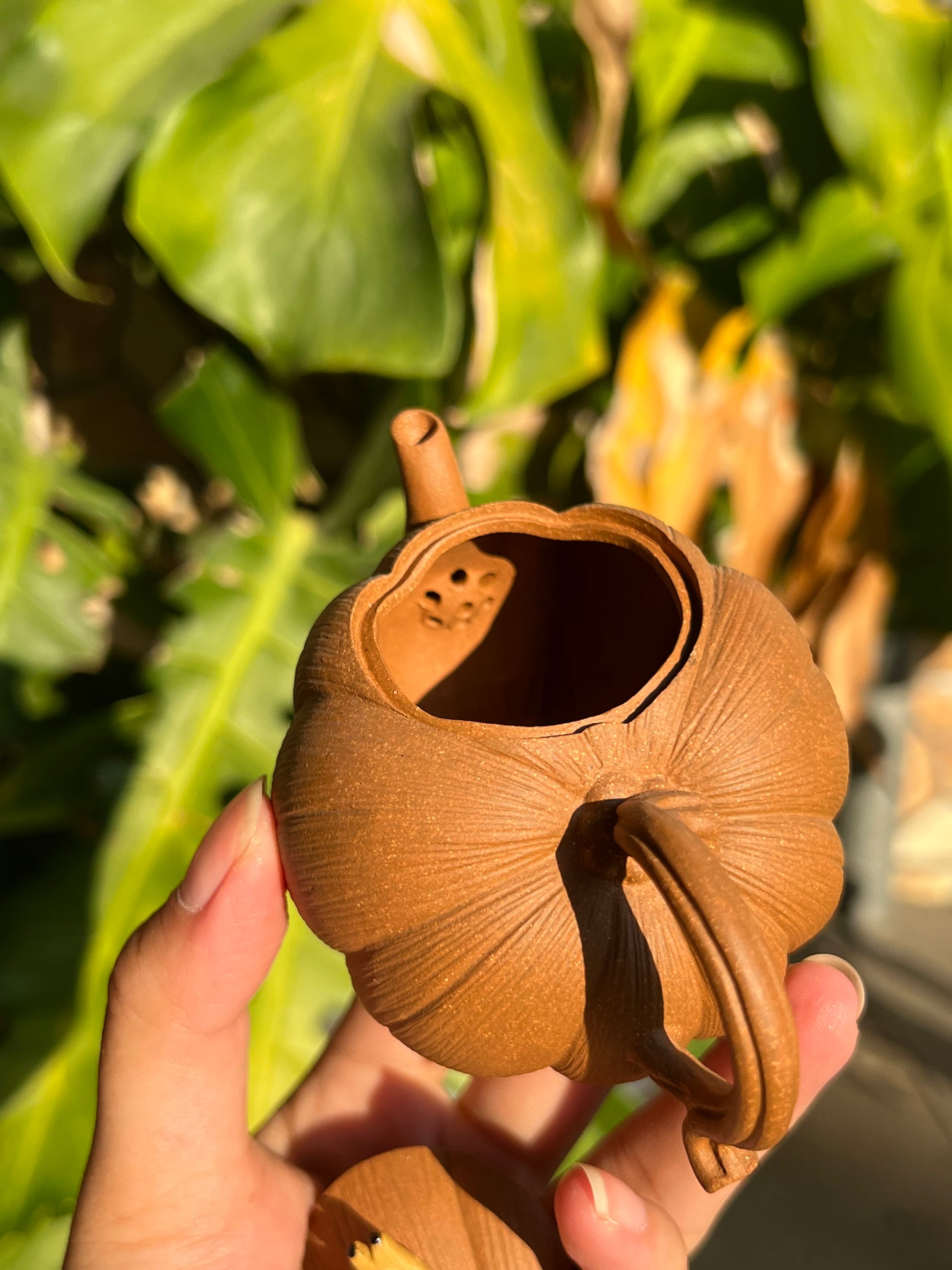 This is a Yixing teapot. this is Chinese yixing clay teapot