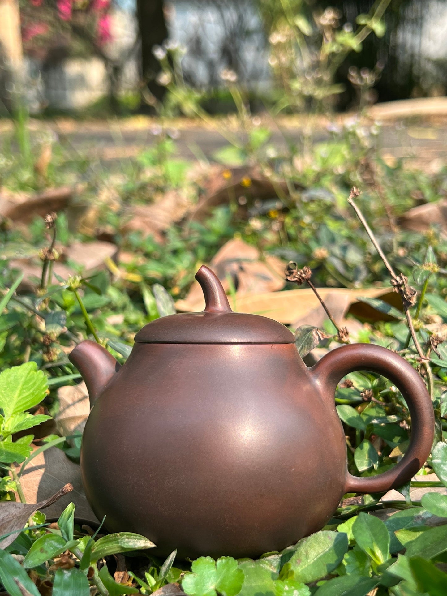 Handcrafted Original Design Chinese Nixing Pottery Teapot Artwork Black Teapot Kungfu Teapot