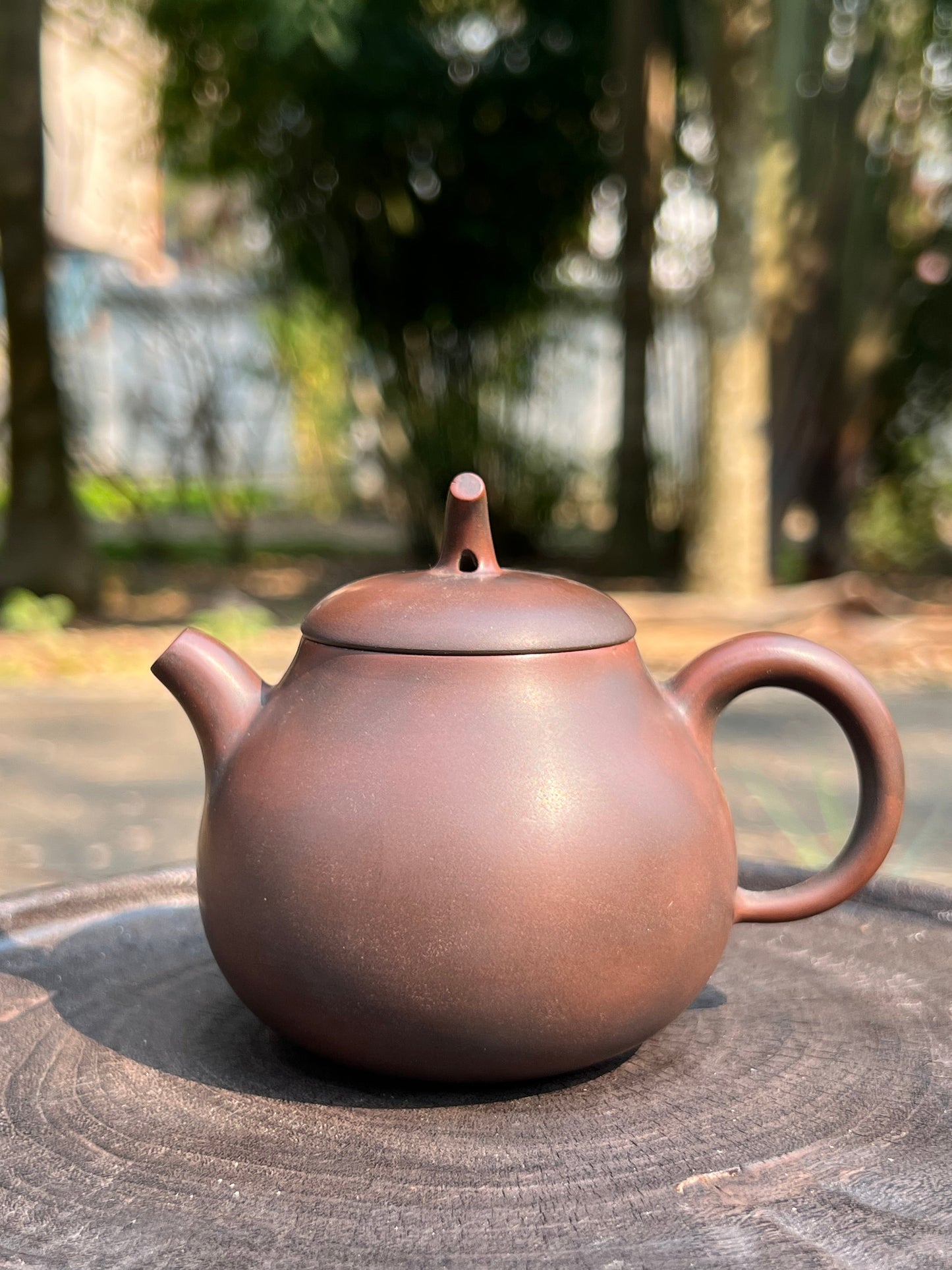 Handcrafted Original Design Chinese Nixing Pottery Teapot Artwork Black Teapot Kungfu Teapot