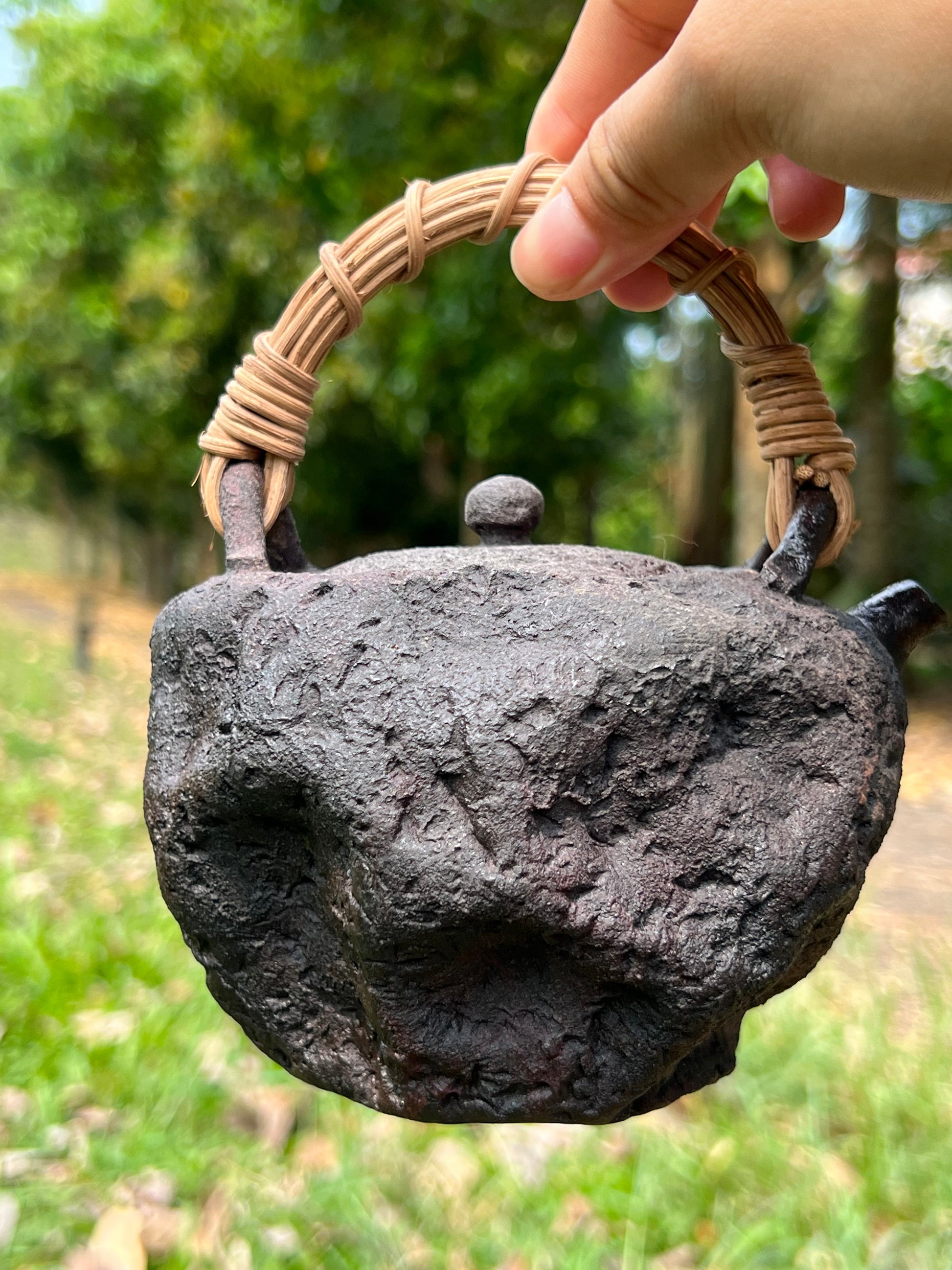 This is a pottery lifting handle kettle