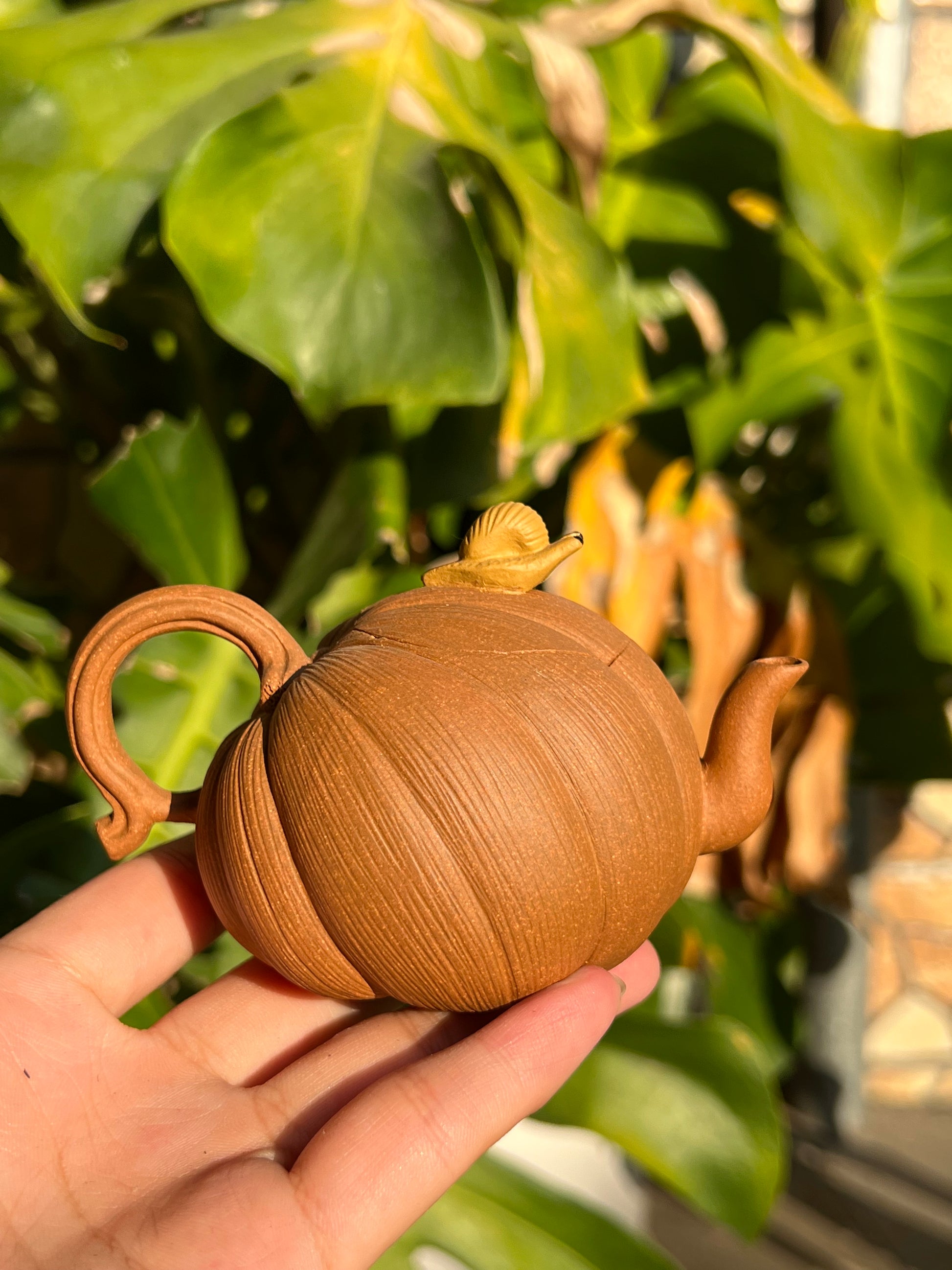 This is a Yixing teapot. this is Chinese yixing clay teapot