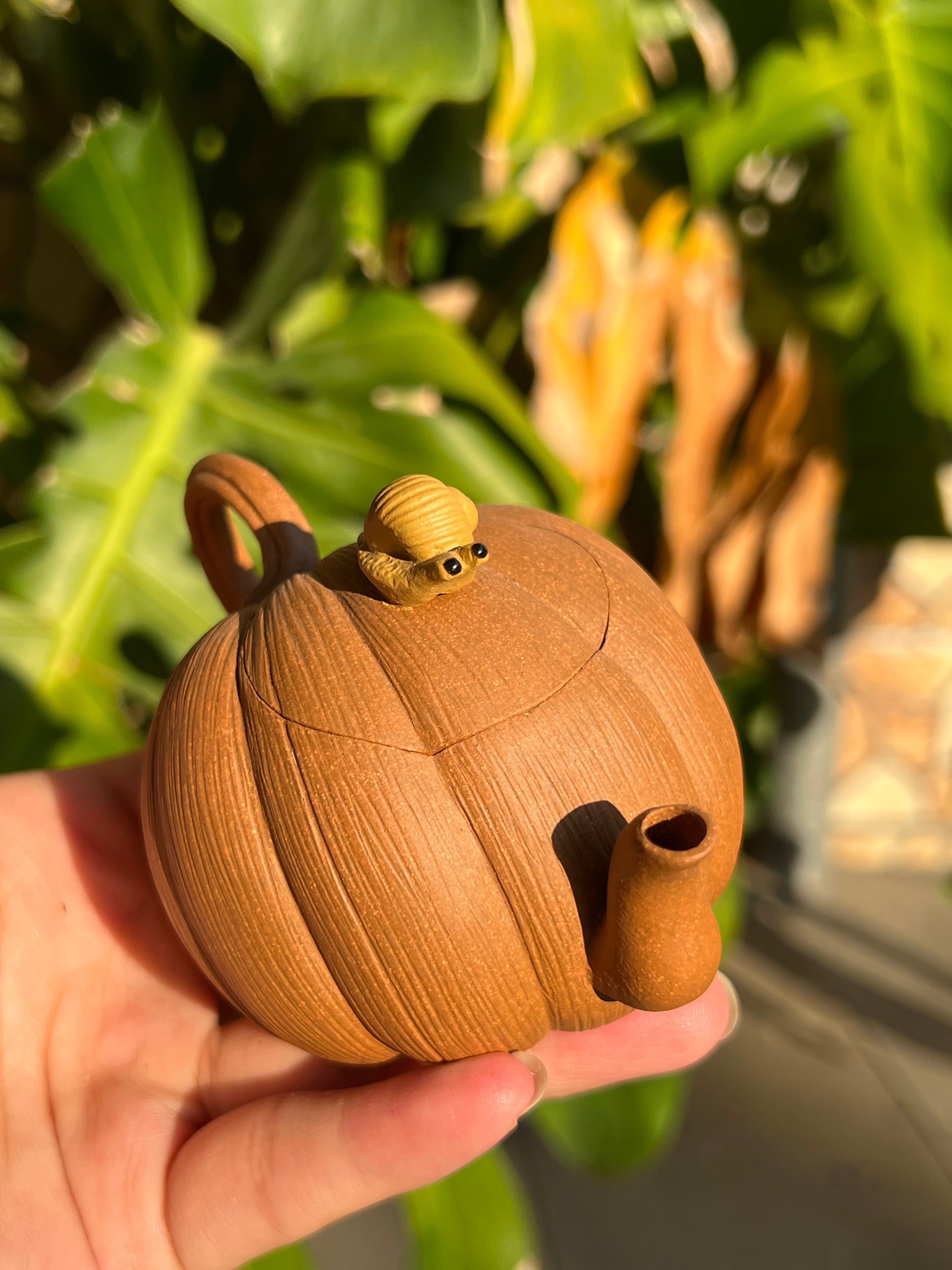 This is a Yixing teapot. this is Chinese yixing clay teapot