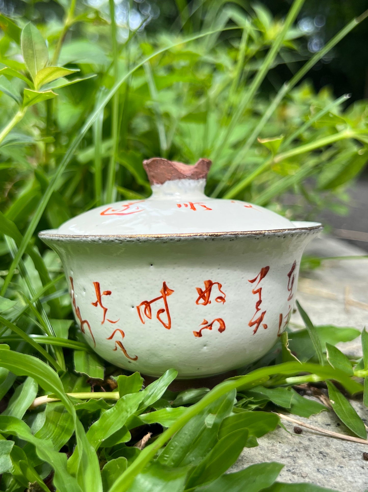 this is a pottery alum red gaiwan