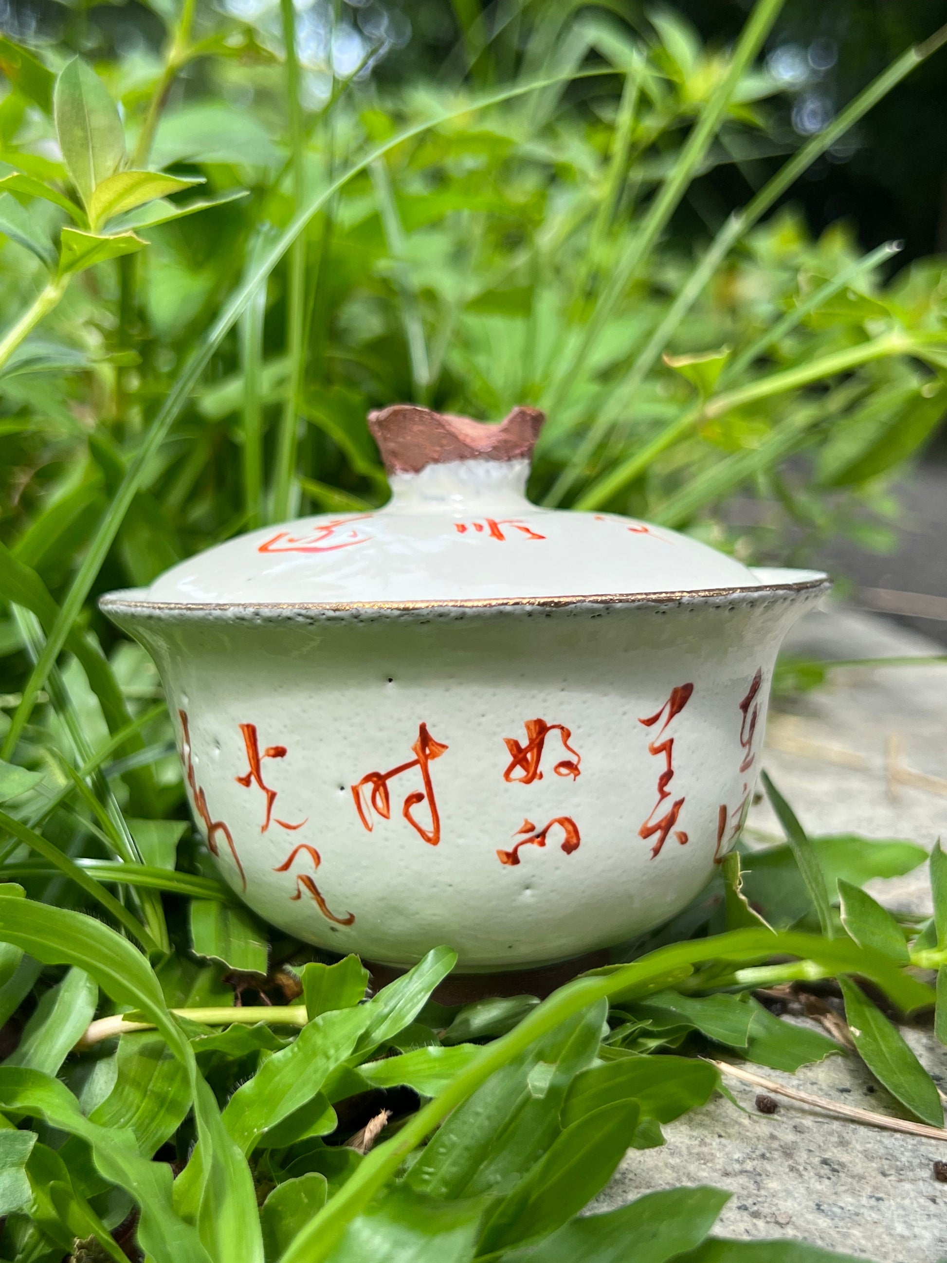 this is a pottery alum red gaiwan