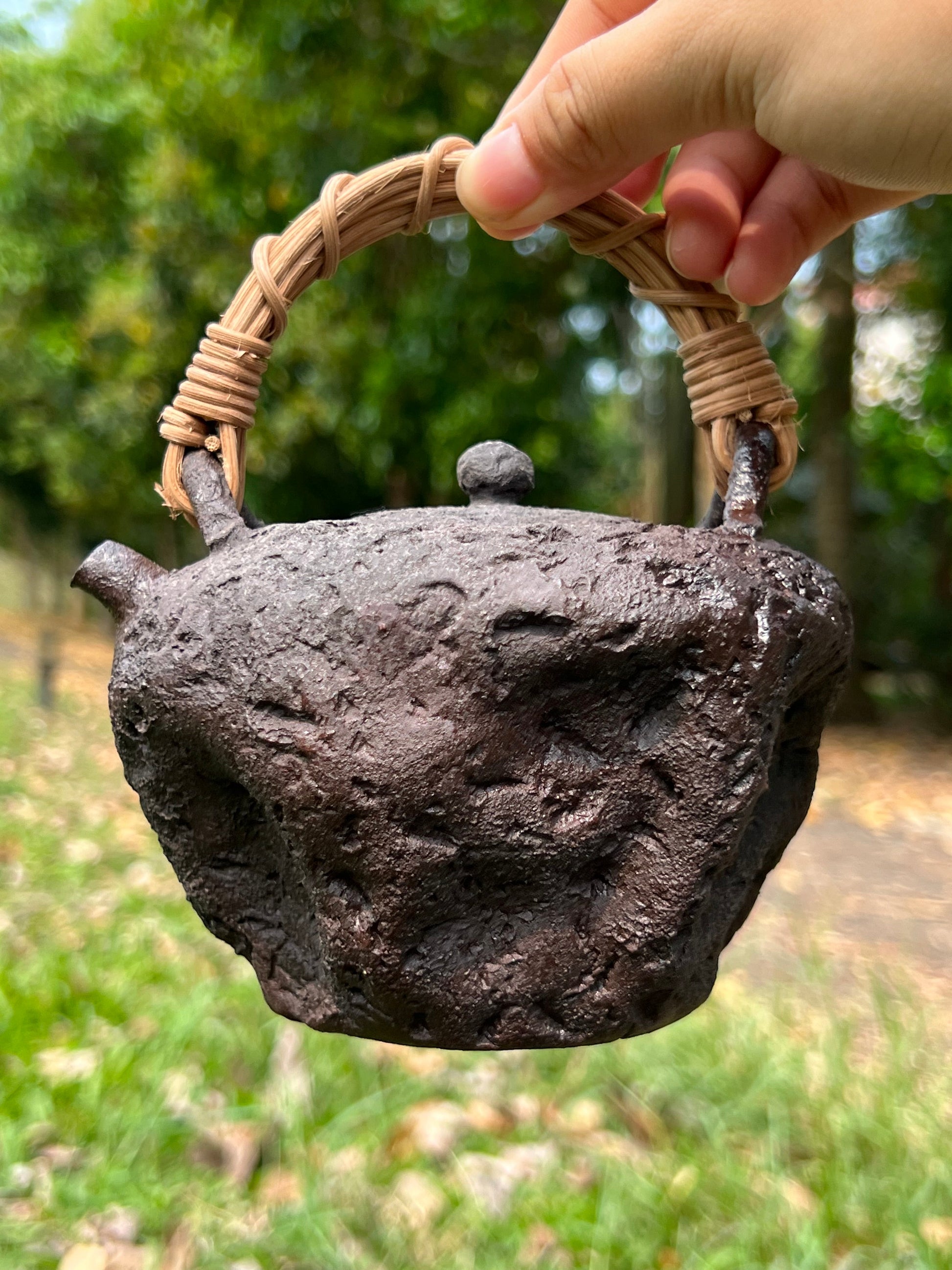 This is a pottery lifting handle kettle