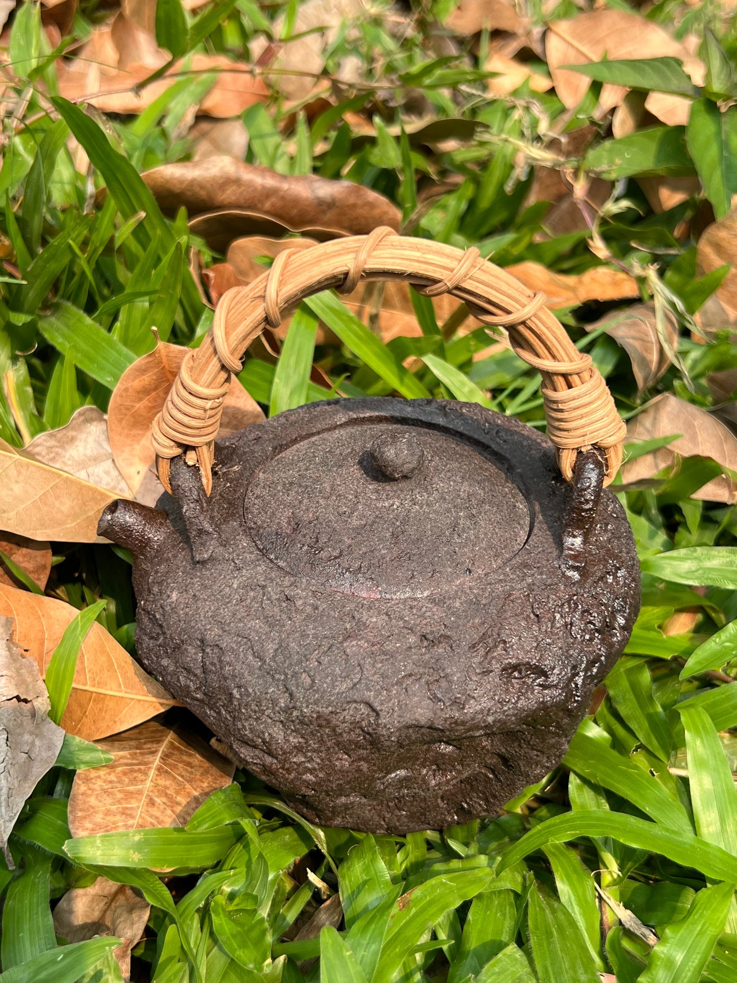 This is a pottery lifting handle kettle