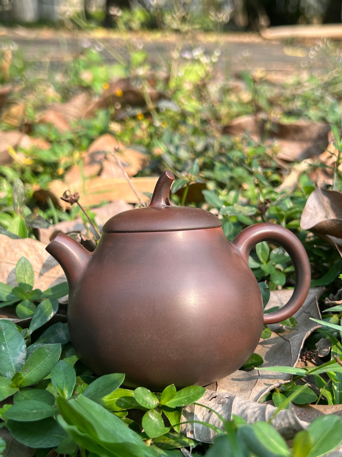 Handcrafted Original Design Chinese Nixing Pottery Teapot Artwork Black Teapot Kungfu Teapot