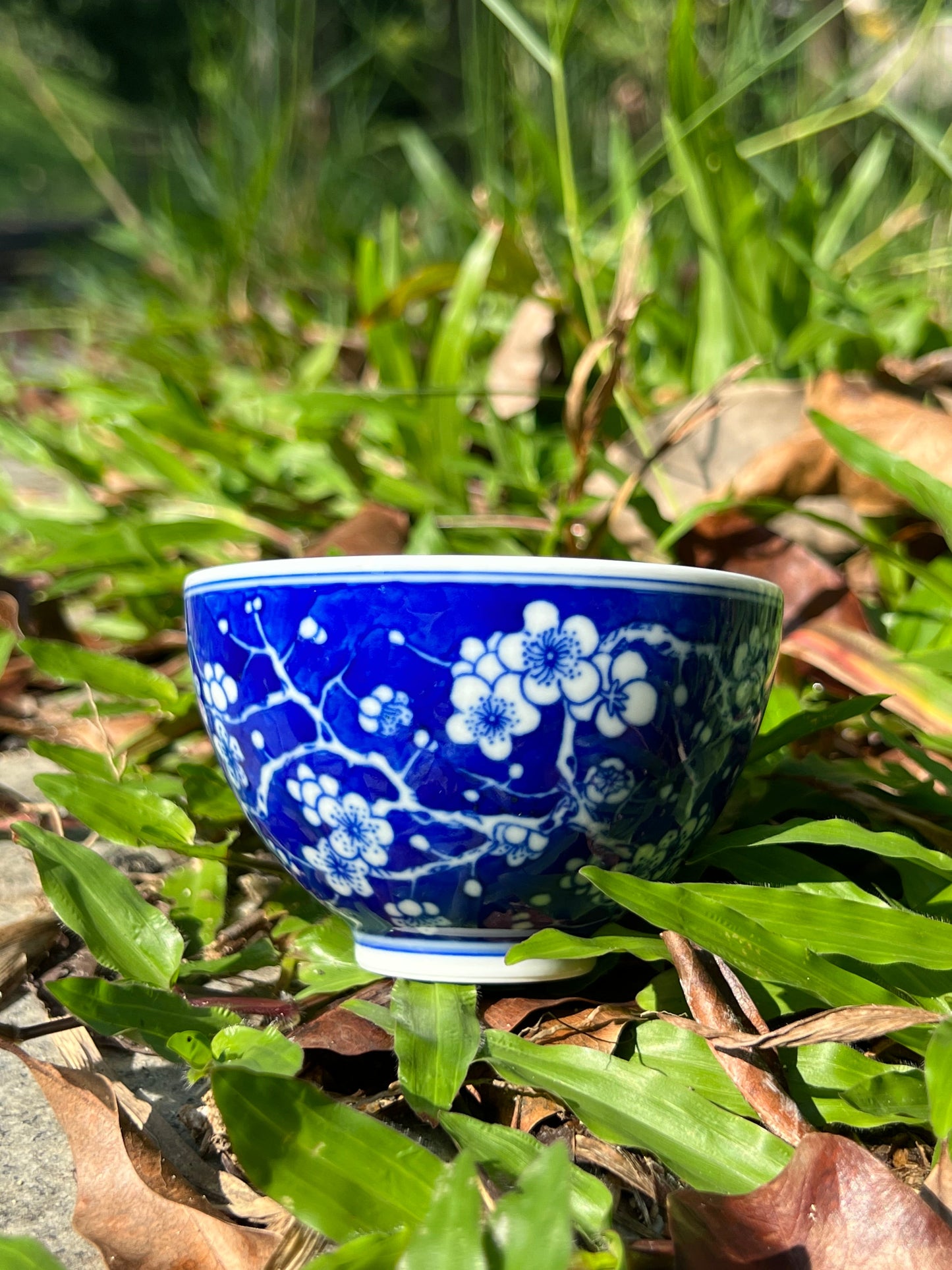 This is Chinese Jingdezhen blue and white porcelain gaiwan. This is a ceramic plum flower teapot