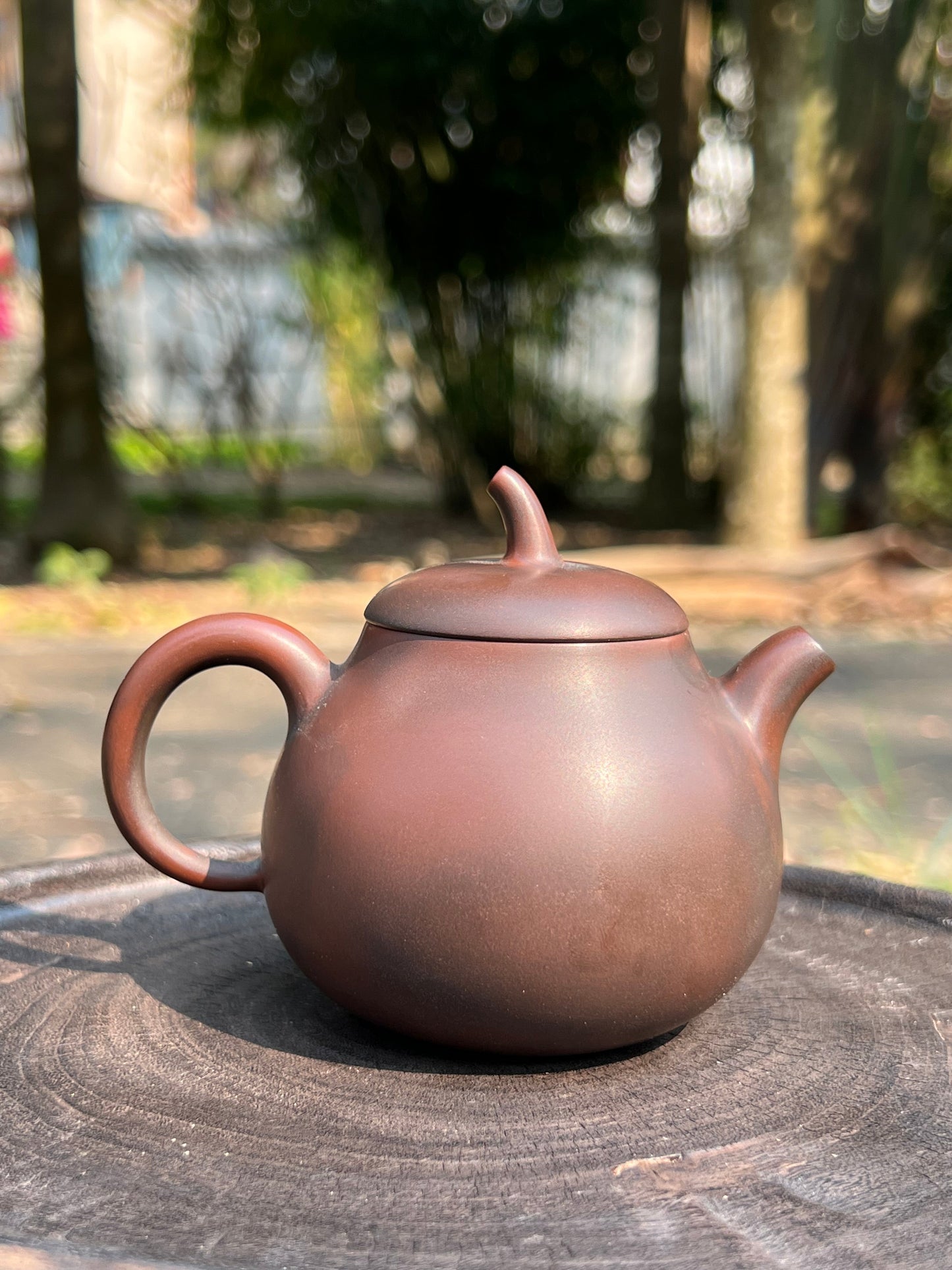 Handcrafted Original Design Chinese Nixing Pottery Teapot Artwork Black Teapot Kungfu Teapot