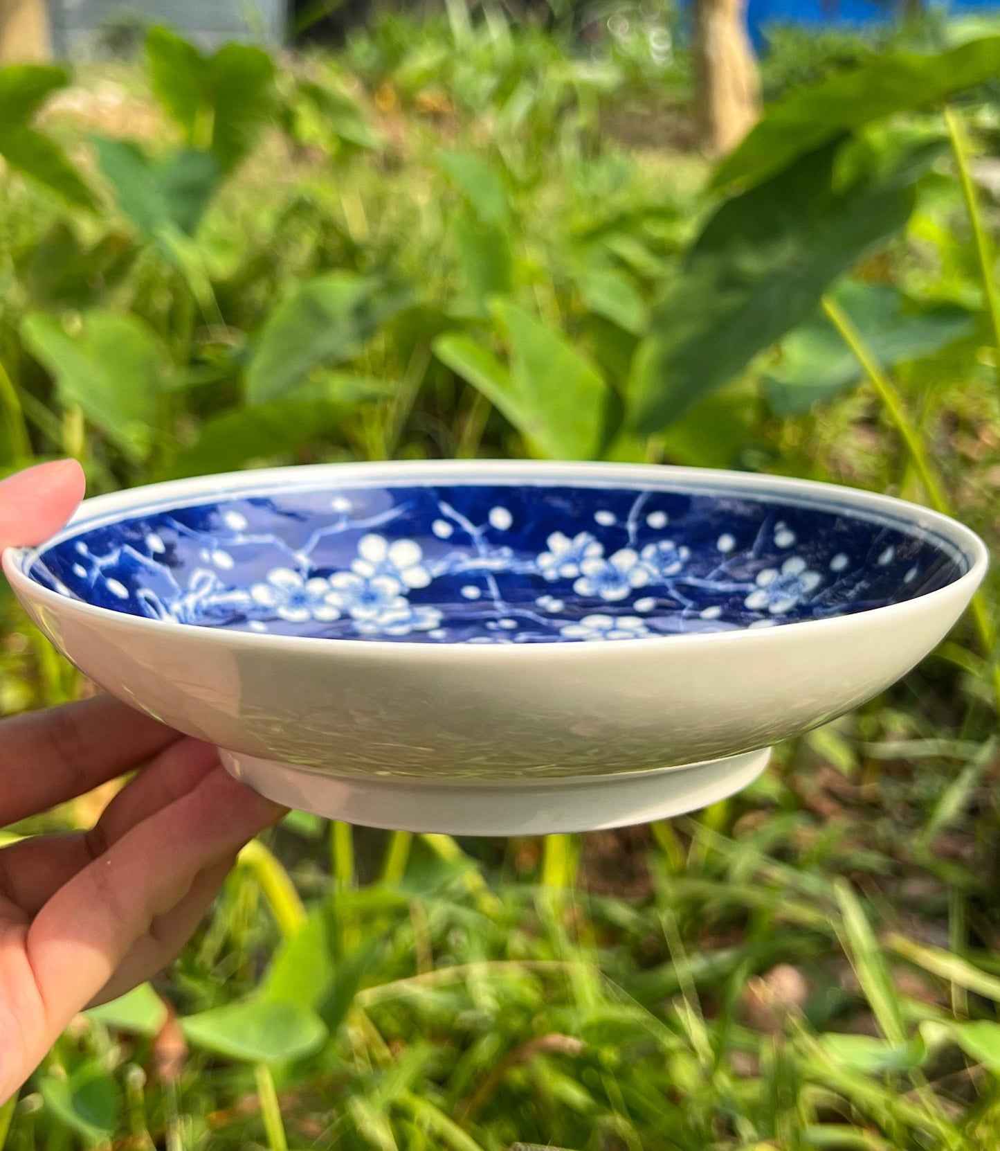 This is Chinese Jingdezhen blue and white porcelain gaiwan. This is a ceramic plum flower teapot