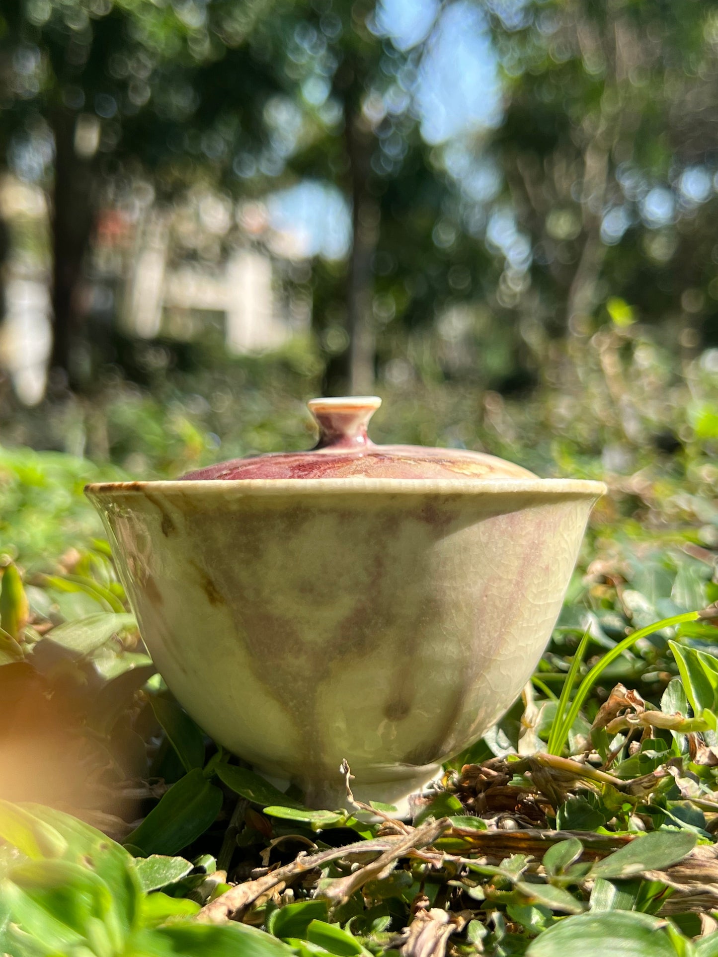 This is a pottery teapot