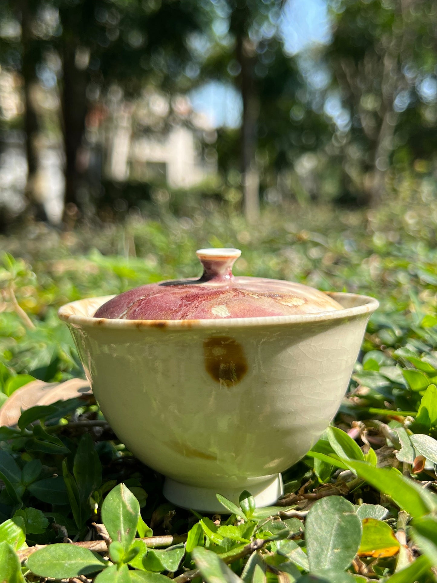 This is a pottery teapot