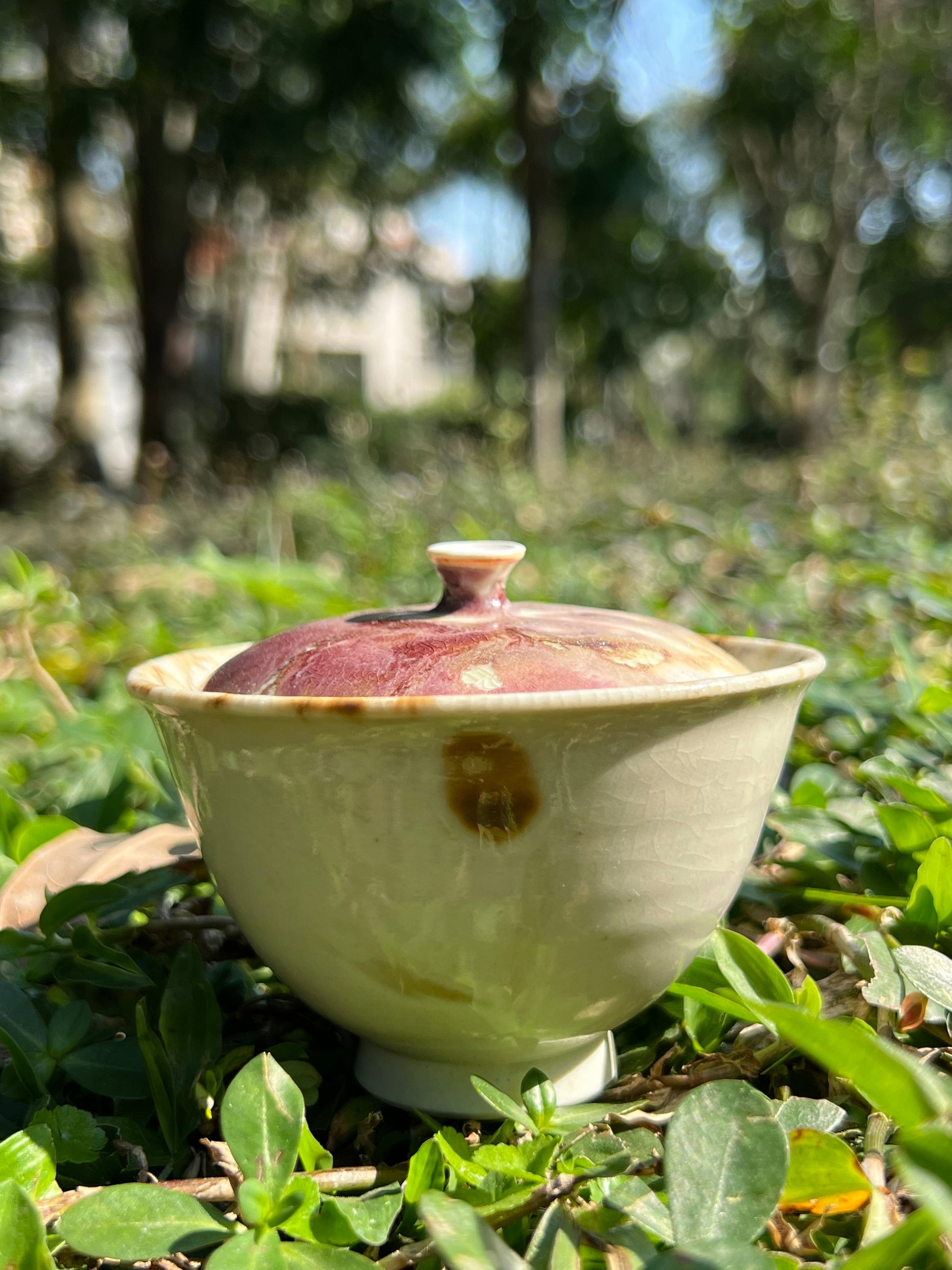 This is a pottery teapot