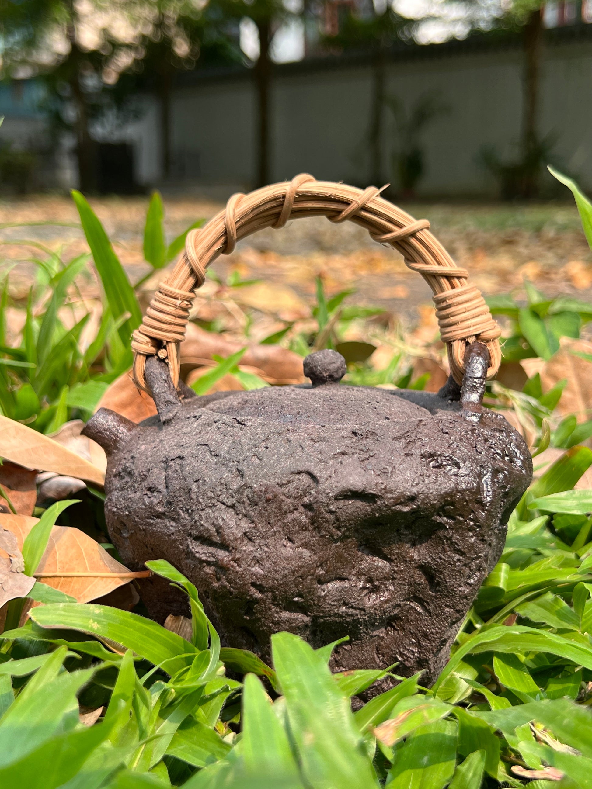 This is a pottery lifting handle kettle