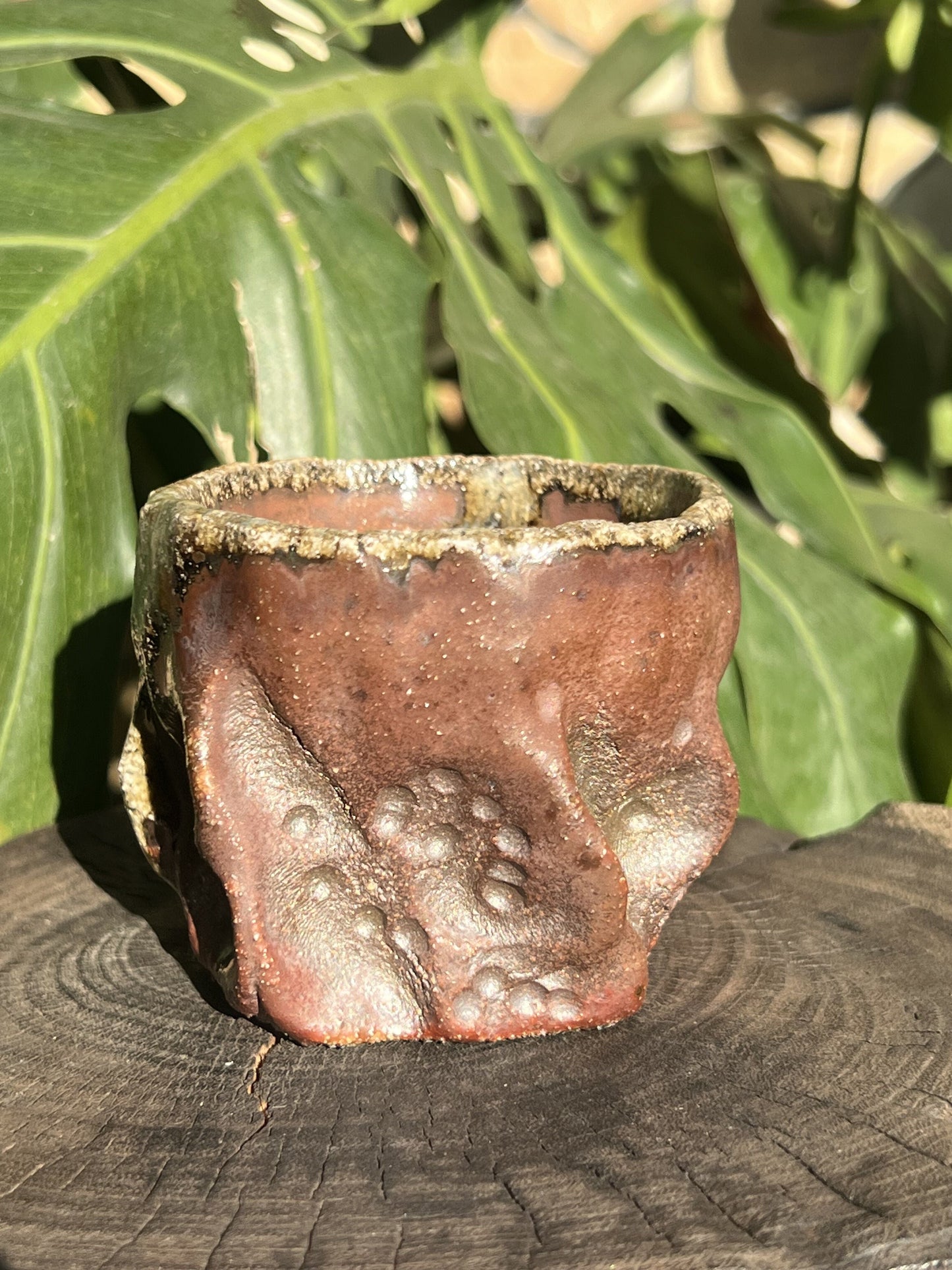 This is a woodfired pottery teacup