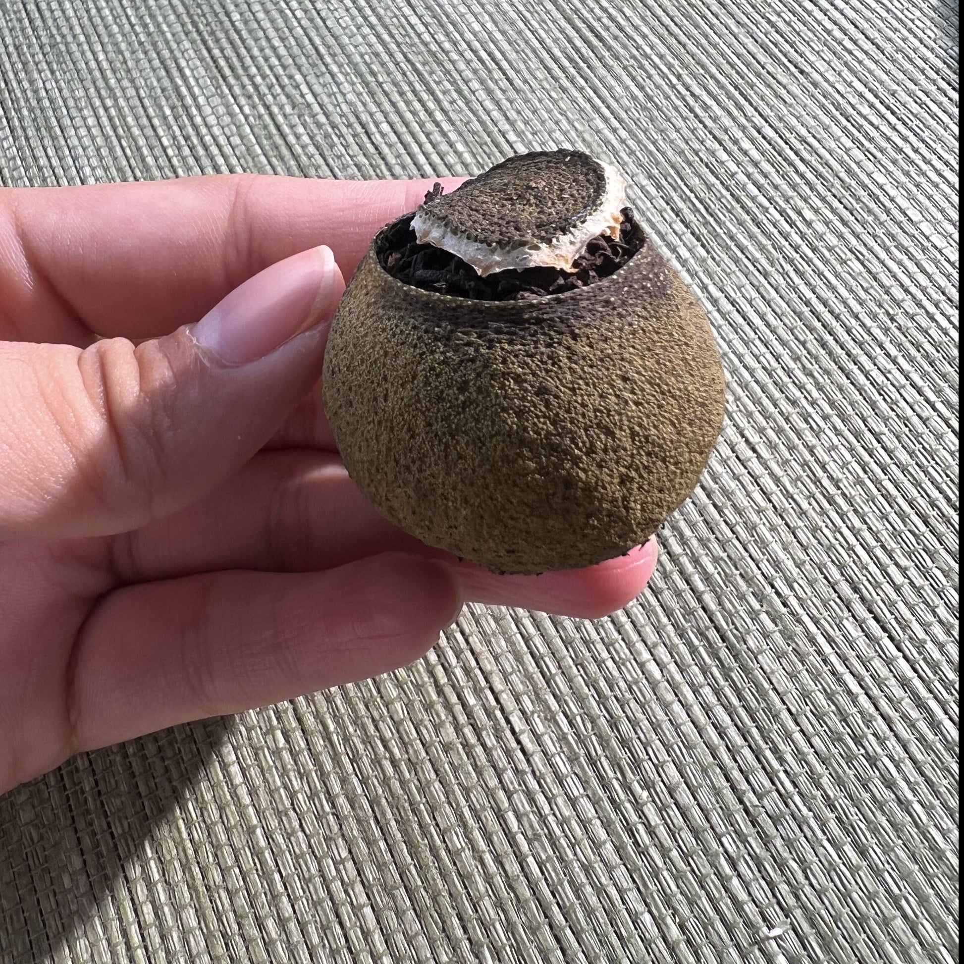 This is Chinese ripe Puerh Xiaoqinggan