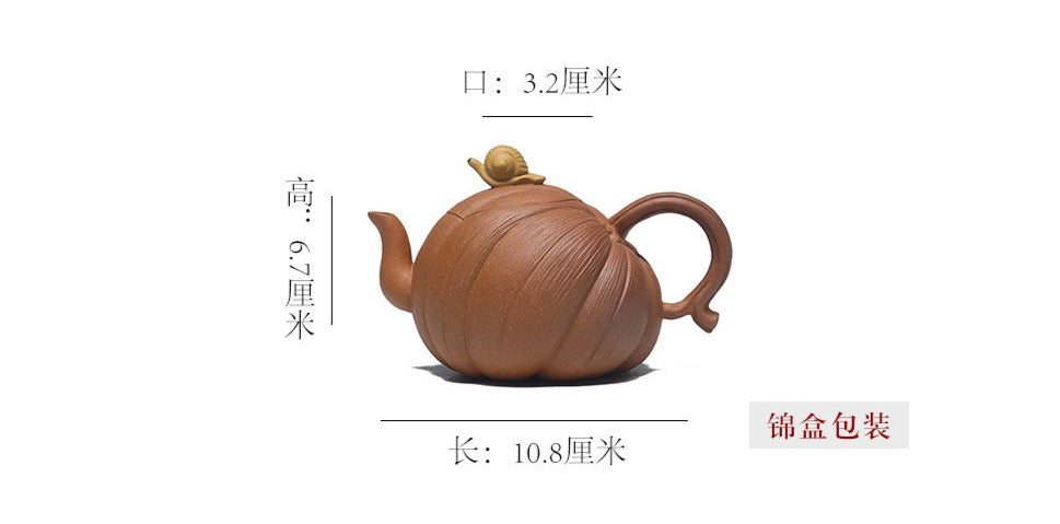 This is a Yixing teapot. this is Chinese yixing clay teapot 