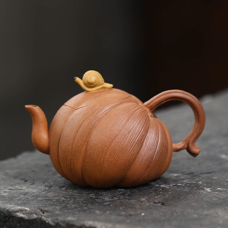 This is a Yixing teapot. this is Chinese yixing clay teapot 