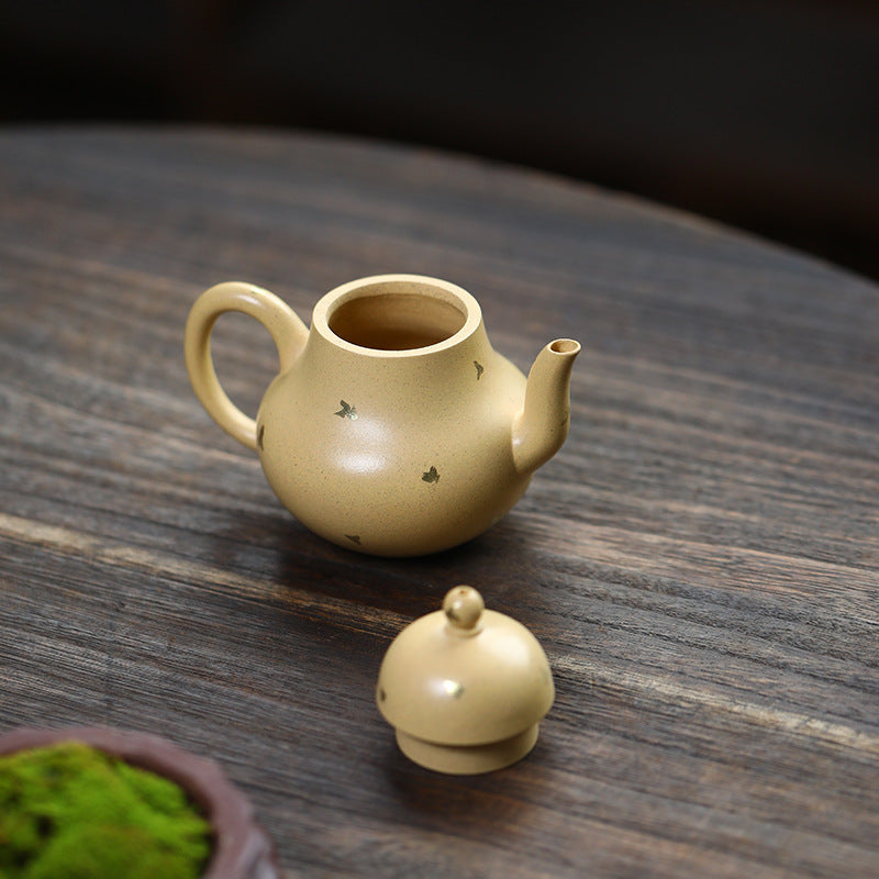 This is a Yixing teapot. this is Chinese yixing clay teapot 