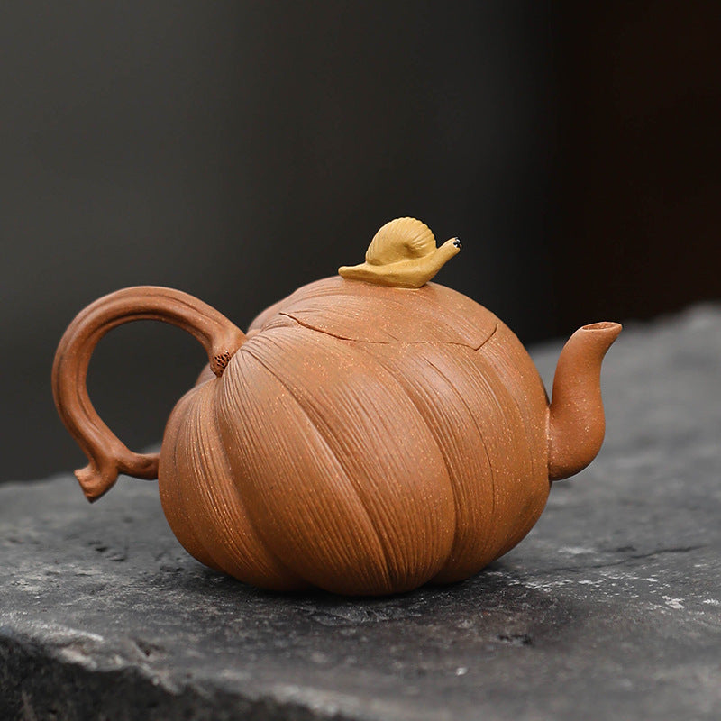 This is a Yixing teapot. this is Chinese yixing clay teapot 