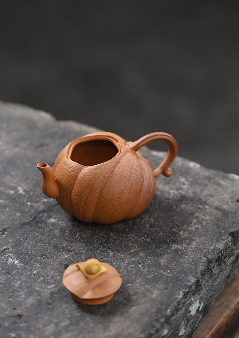 This is a Yixing teapot. this is Chinese yixing clay teapot 