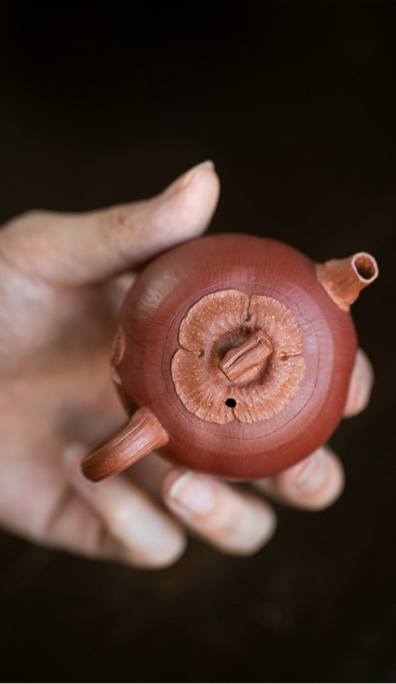 This is a Yixing teapot. this is Chinese yixing clay teapot 