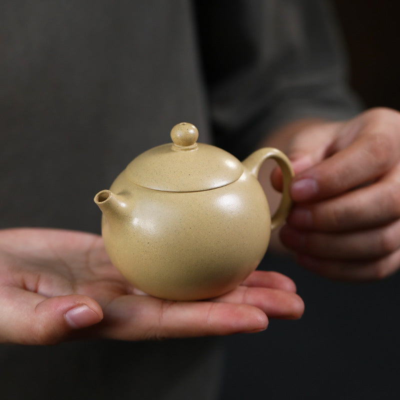 This is a Yixing teapot. this is Chinese yixing clay teapot 