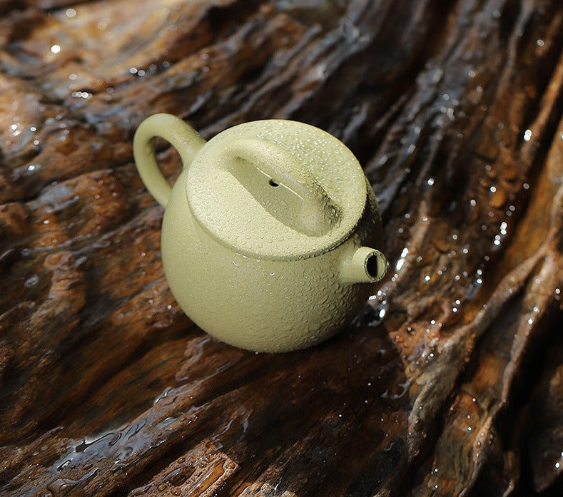 This is a Yixing teapot. this is Chinese yixing clay teapot 