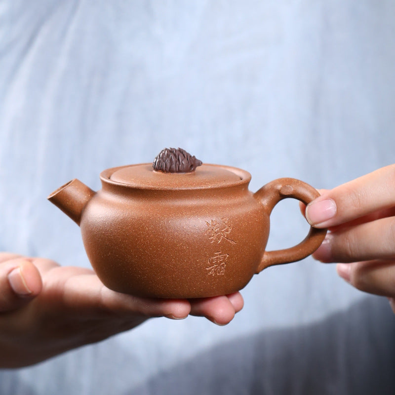 This is a Yixing teapot. this is Chinese yixing clay teapot 