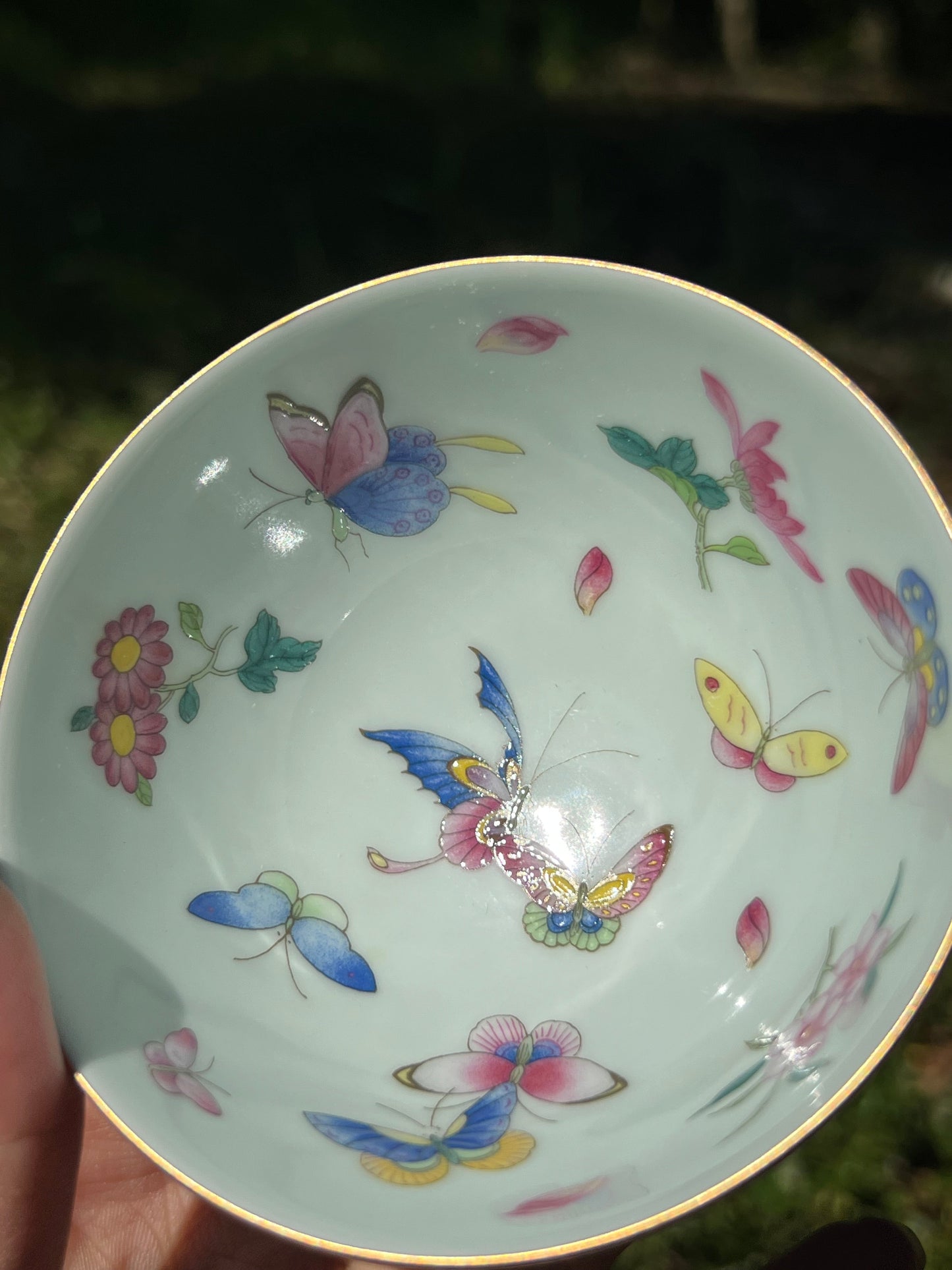 Hand Painted Pahua Chinese Butterfly Gaiwan Jingdezhen Master Ceramic Artwork