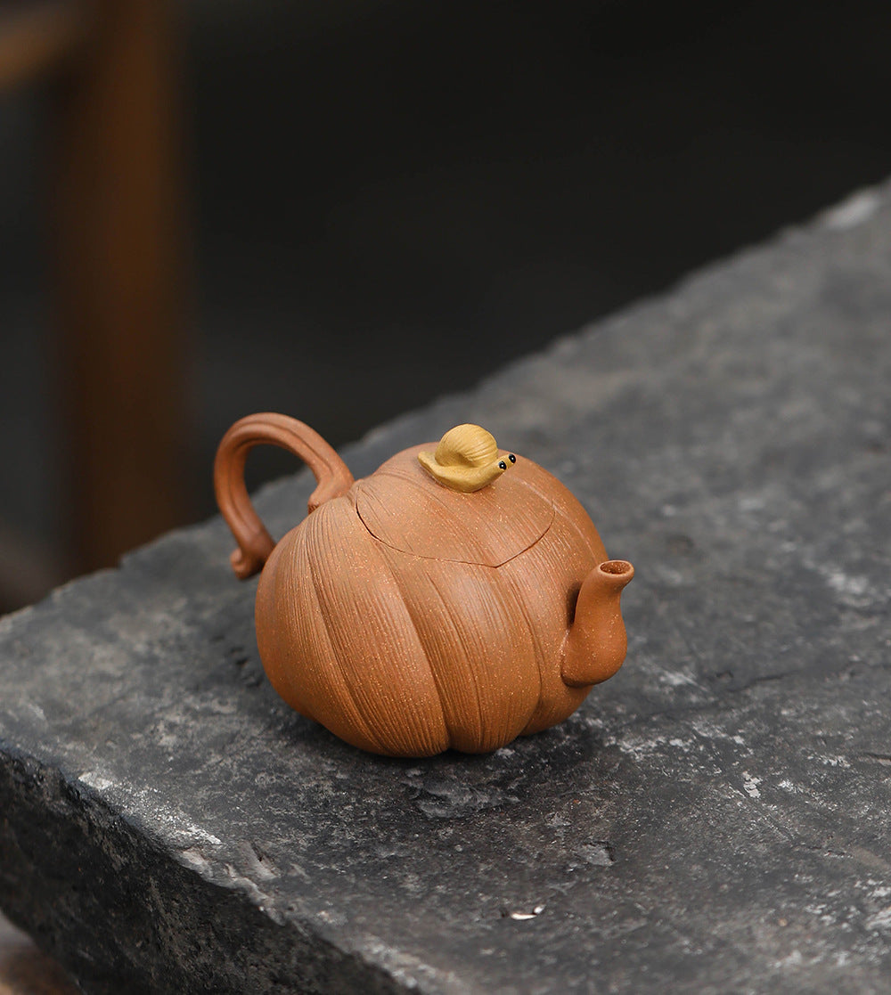 This is a Yixing teapot. this is Chinese yixing clay teapot 