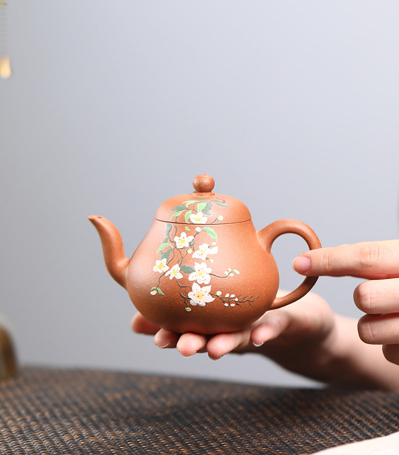 This is a Yixing teapot. this is Chinese yixing clay teapot 