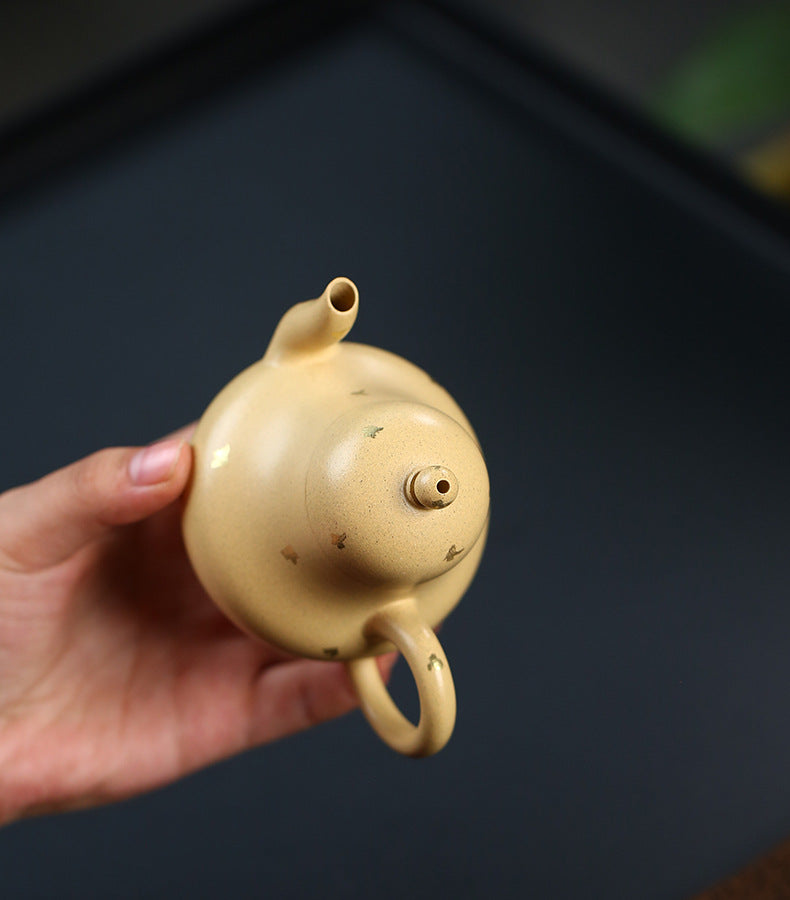 This is a Yixing teapot. this is Chinese yixing clay teapot 