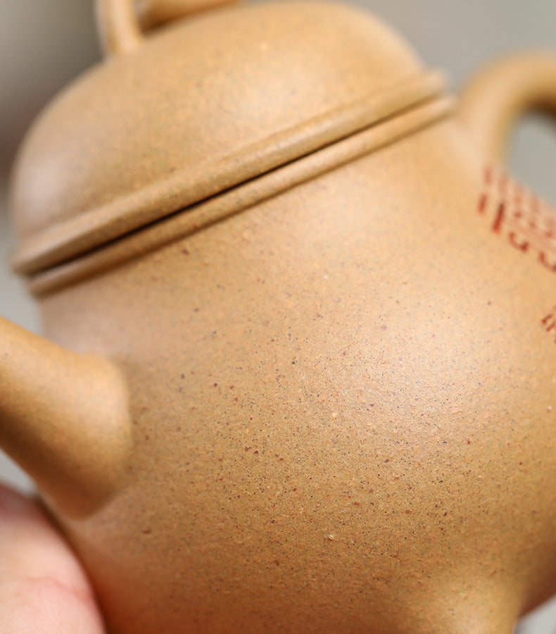 This is a Yixing teapot. this is Chinese yixing clay teapot 