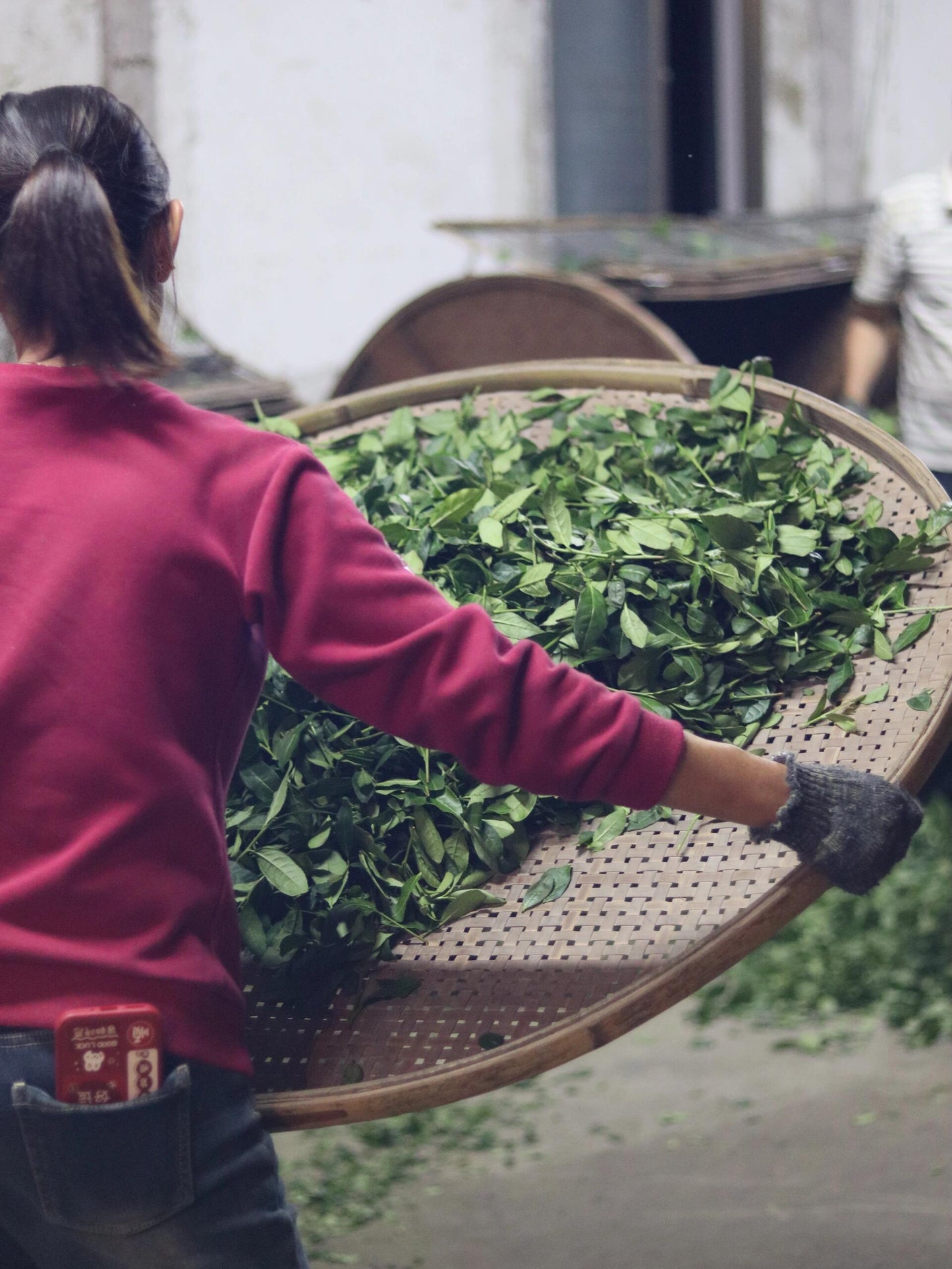 Premium Chinese Sichuan Emei High Mountain New Crafted  Black Tea Red Tea