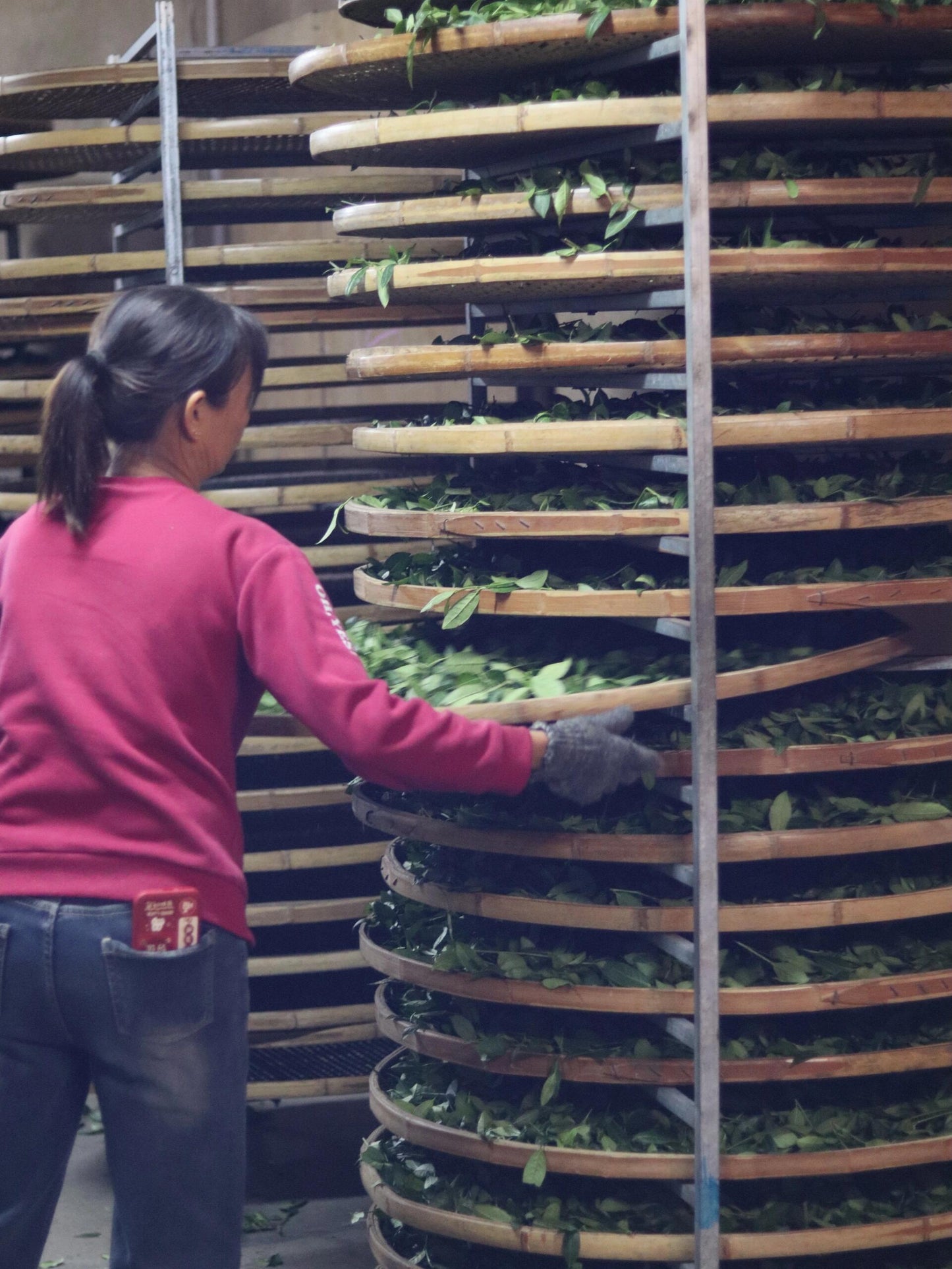 Premium Chinese Sichuan Emei High Mountain New Crafted  Black Tea Red Tea