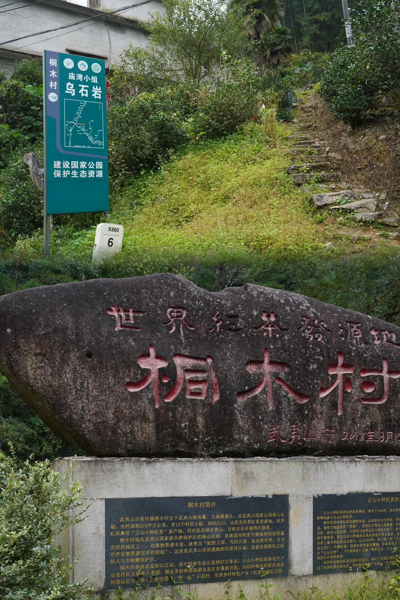 Premium Tongmuguan Red Tea Black Tea Authentic Laocong Lapsang Souchong Peach FlavorSmokless  Zhengshan Xiaozhong