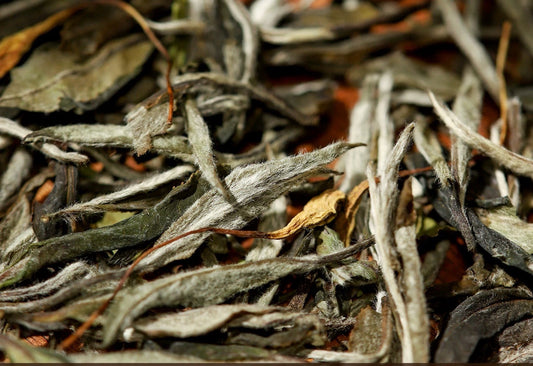 Chinese Premium Blended Gardenia Baimudan Fuding White Peony White Tea