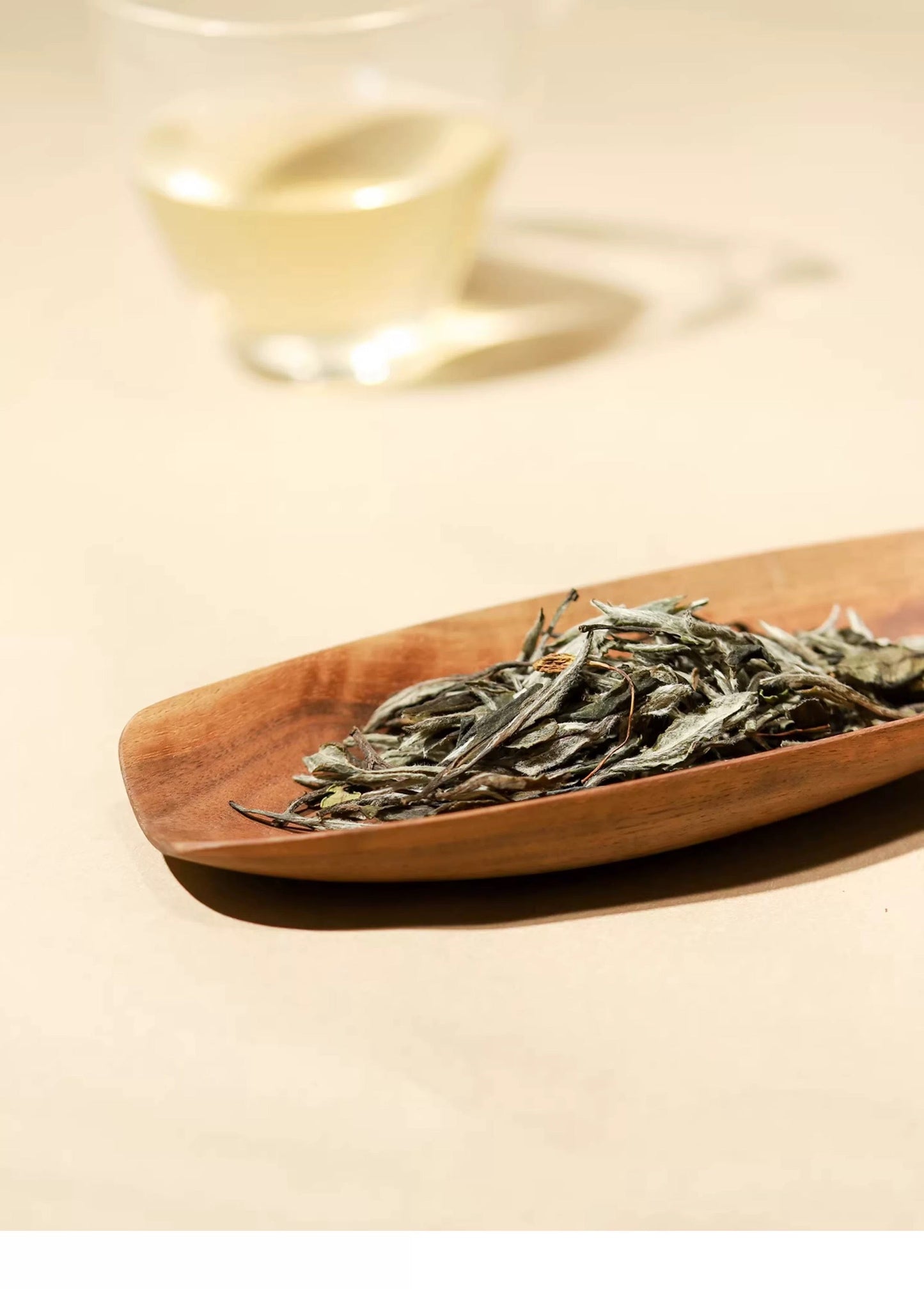 Chinese Premium Blended Gardenia Baimudan Fuding White Peony White Tea