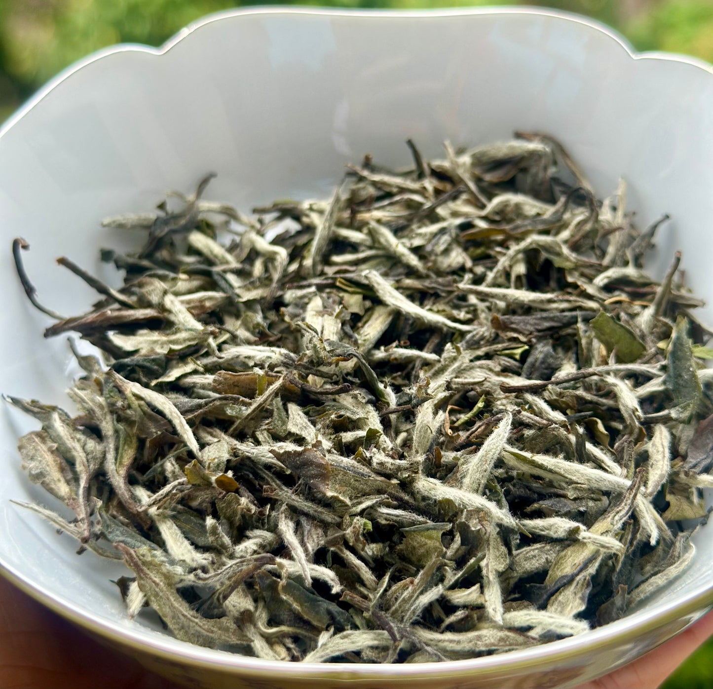 Chinese Premium Blended Gardenia Baimudan Fuding White Peony White Tea