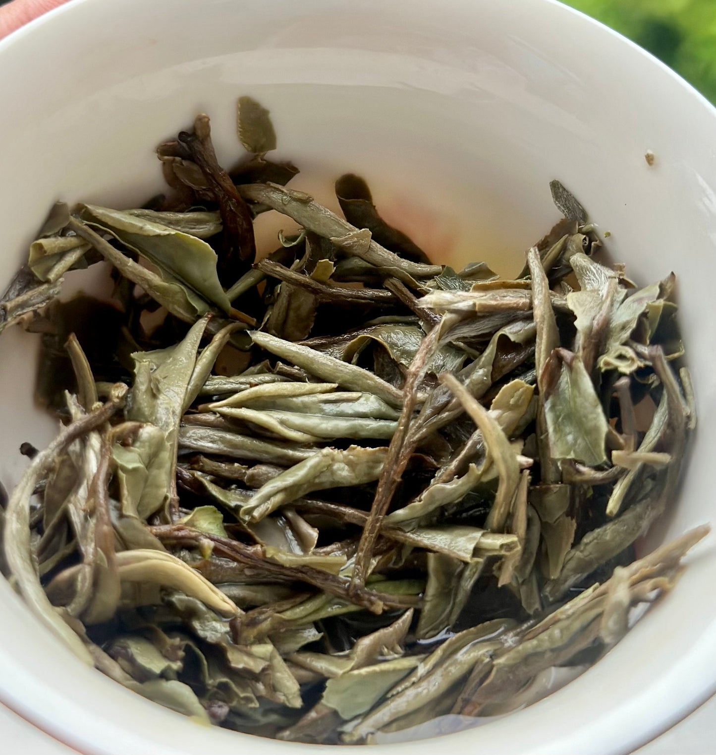 Chinese Premium Blended Gardenia Baimudan Fuding White Peony White Tea